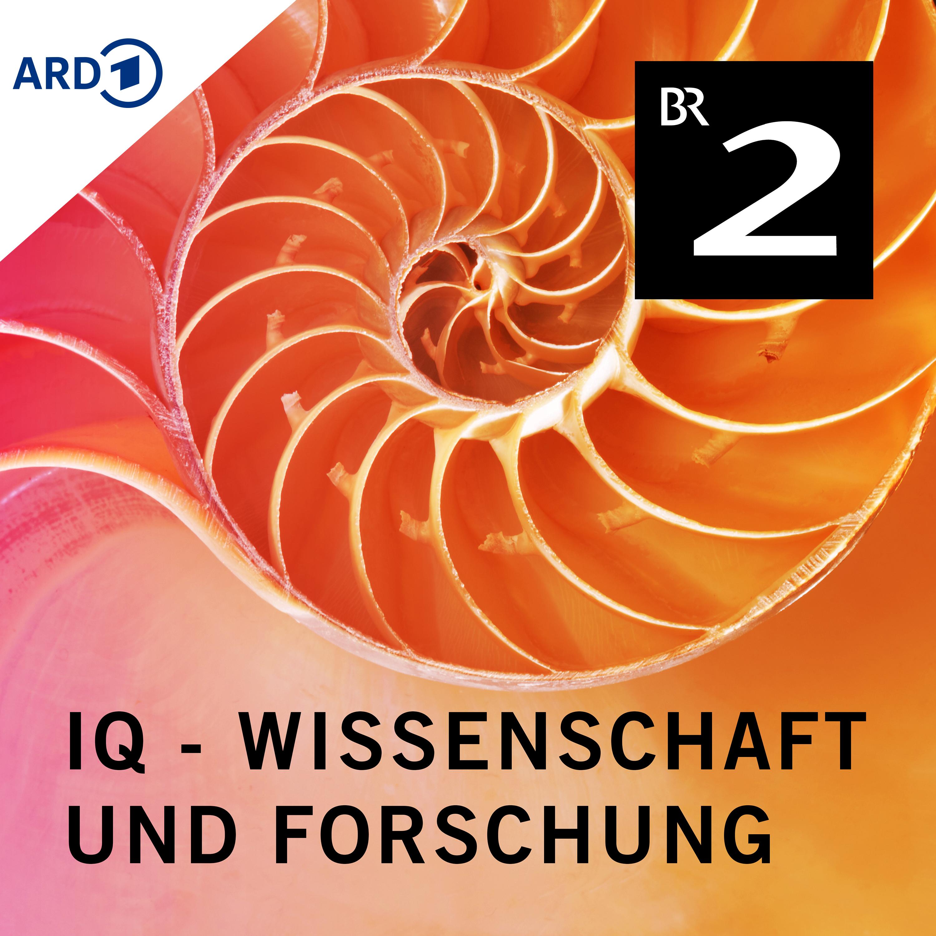 IQ - Wissenschaft und Forschung 