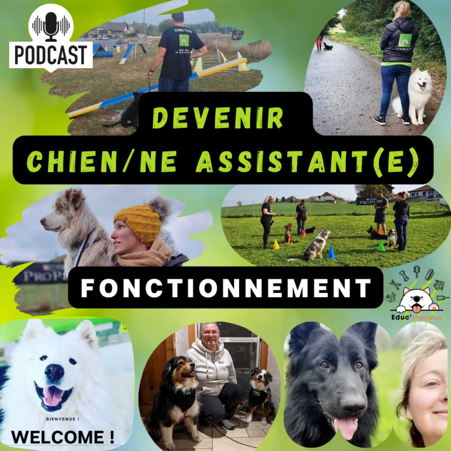 Devenir Chien(ne) Assistant(e) Éduc !