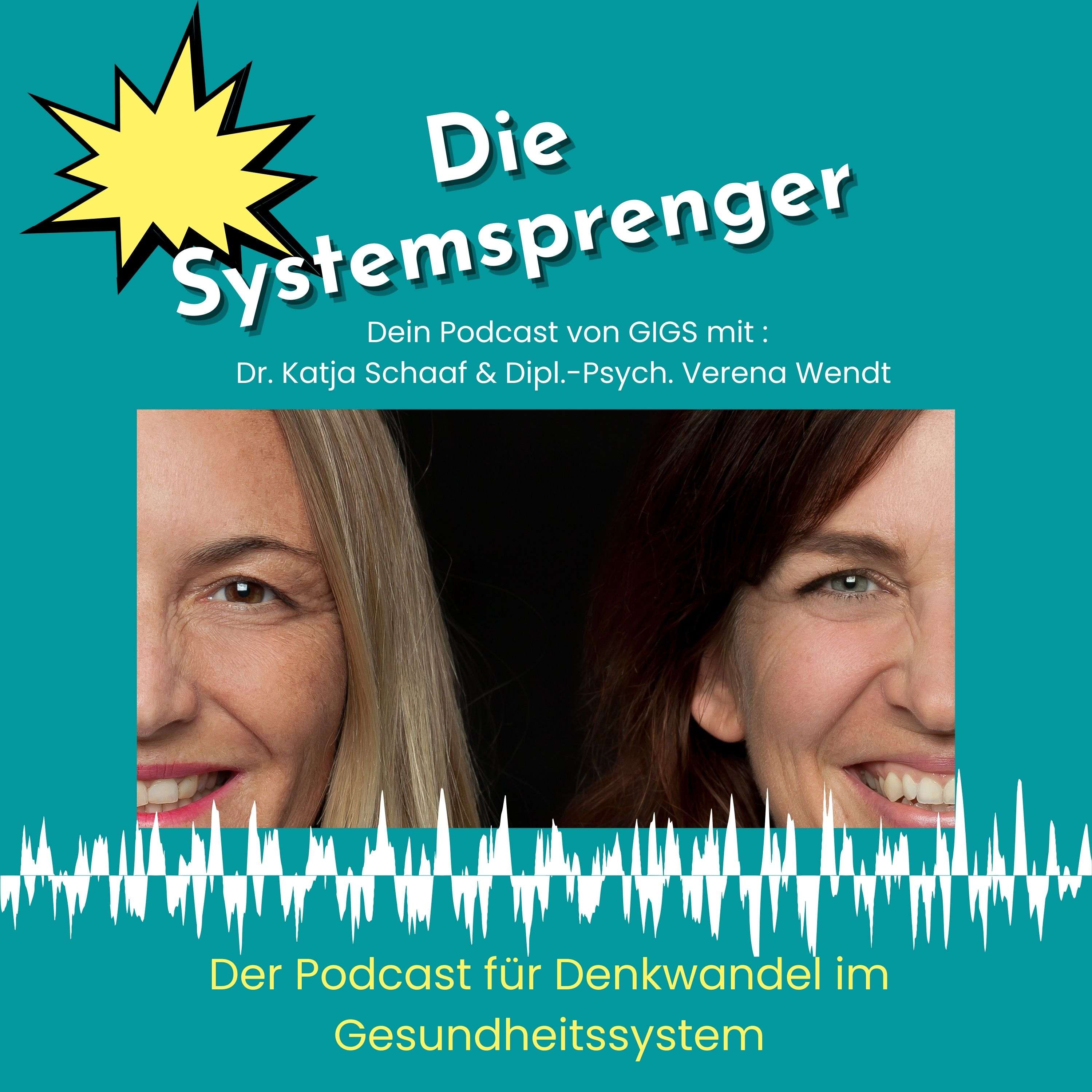 Psychoneuroimmonologie mit Dr. Schmid