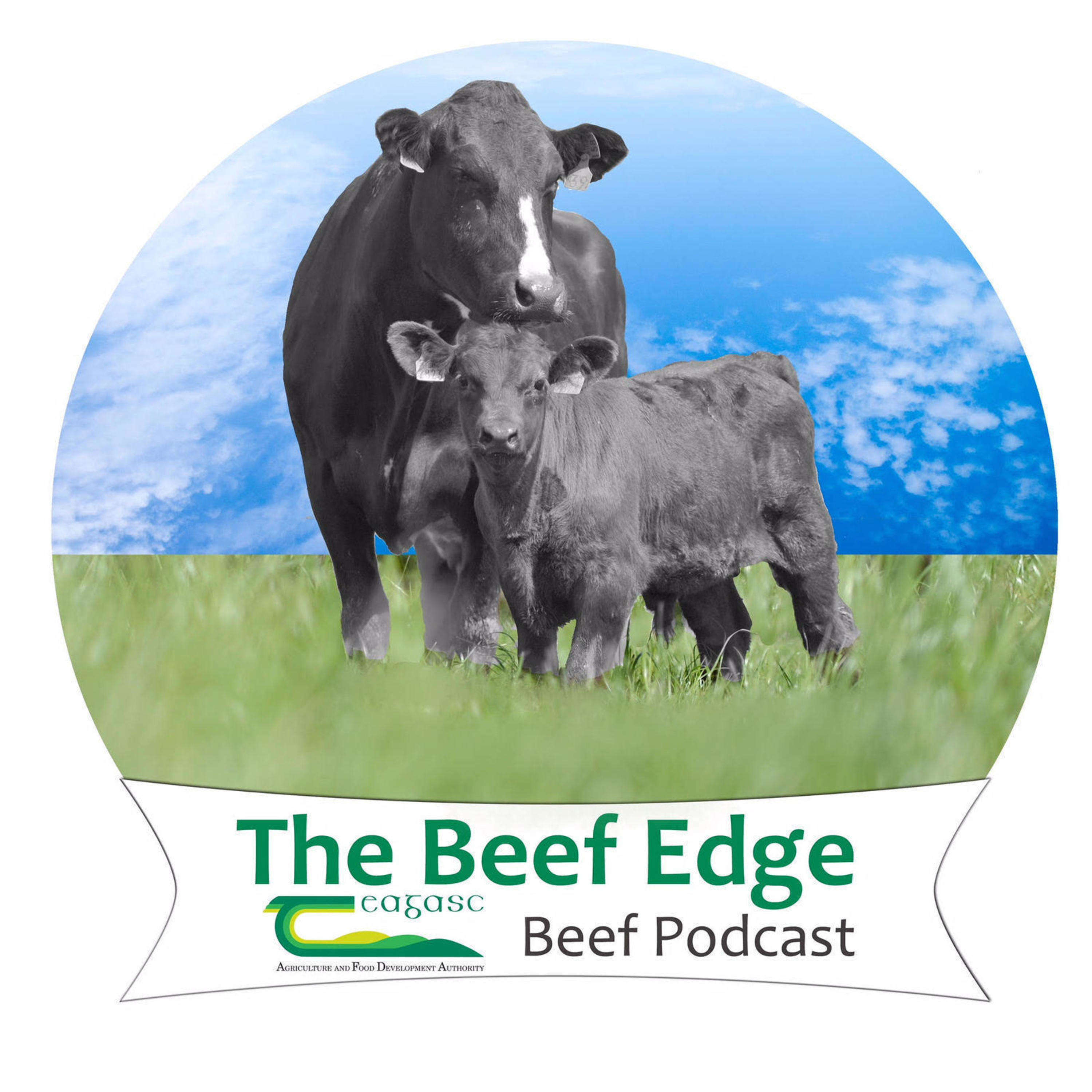 The Beef Edge 