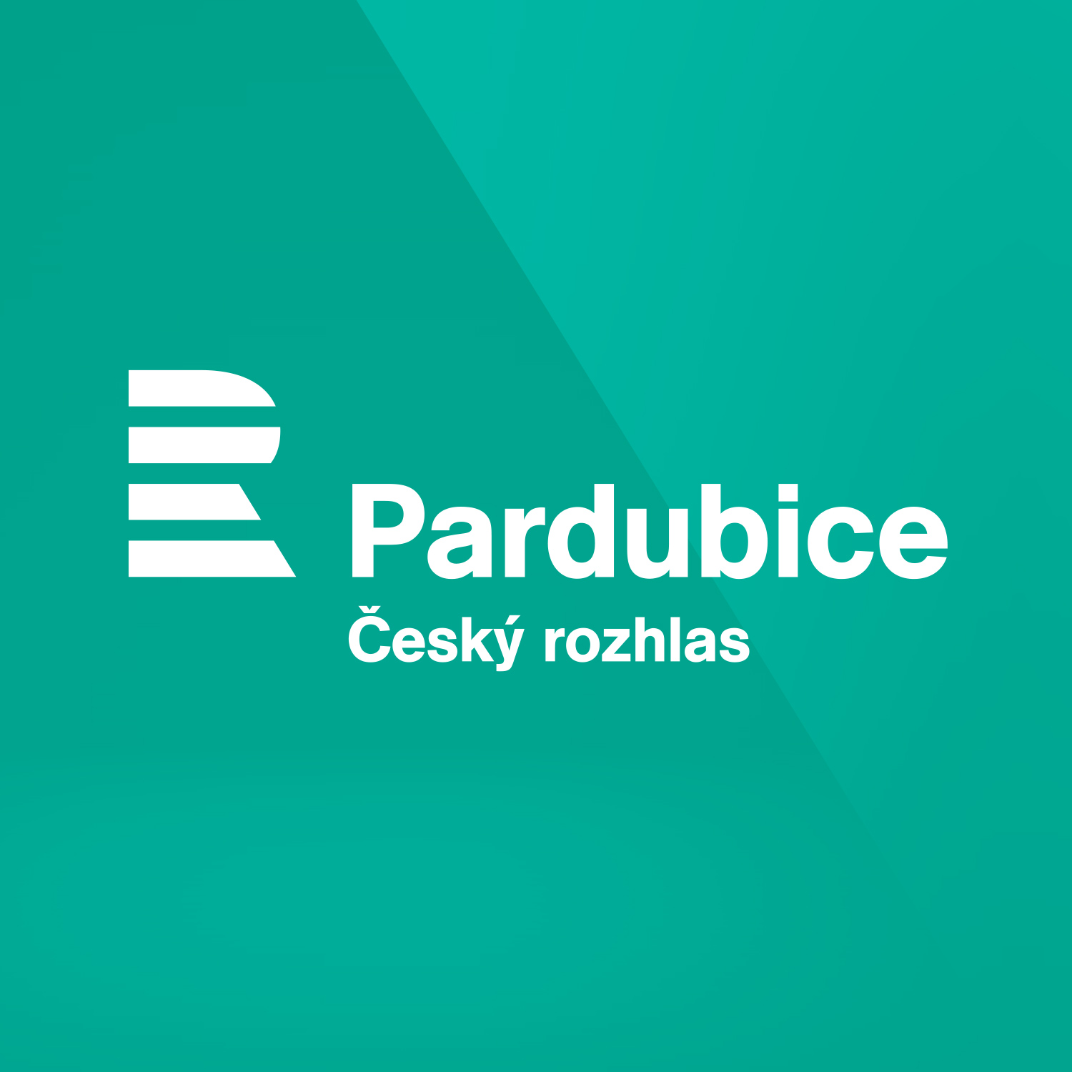 Zálety Aleny Zárybnické: Moderátorské zážitky Martiny Vrbové Hynkové: Otrava v přímém přenosu i napadení kocourem