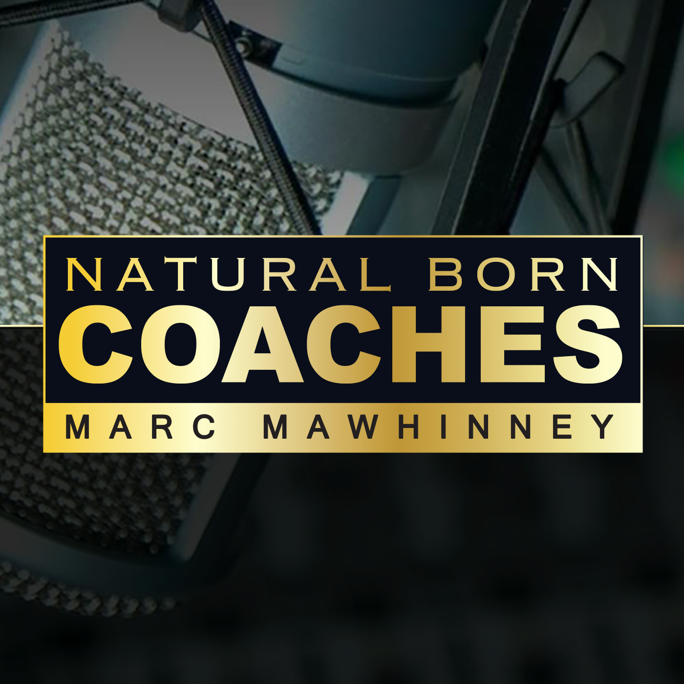 ⁣Rob Goyette: A New Coaching Offer to Add Extra Income!