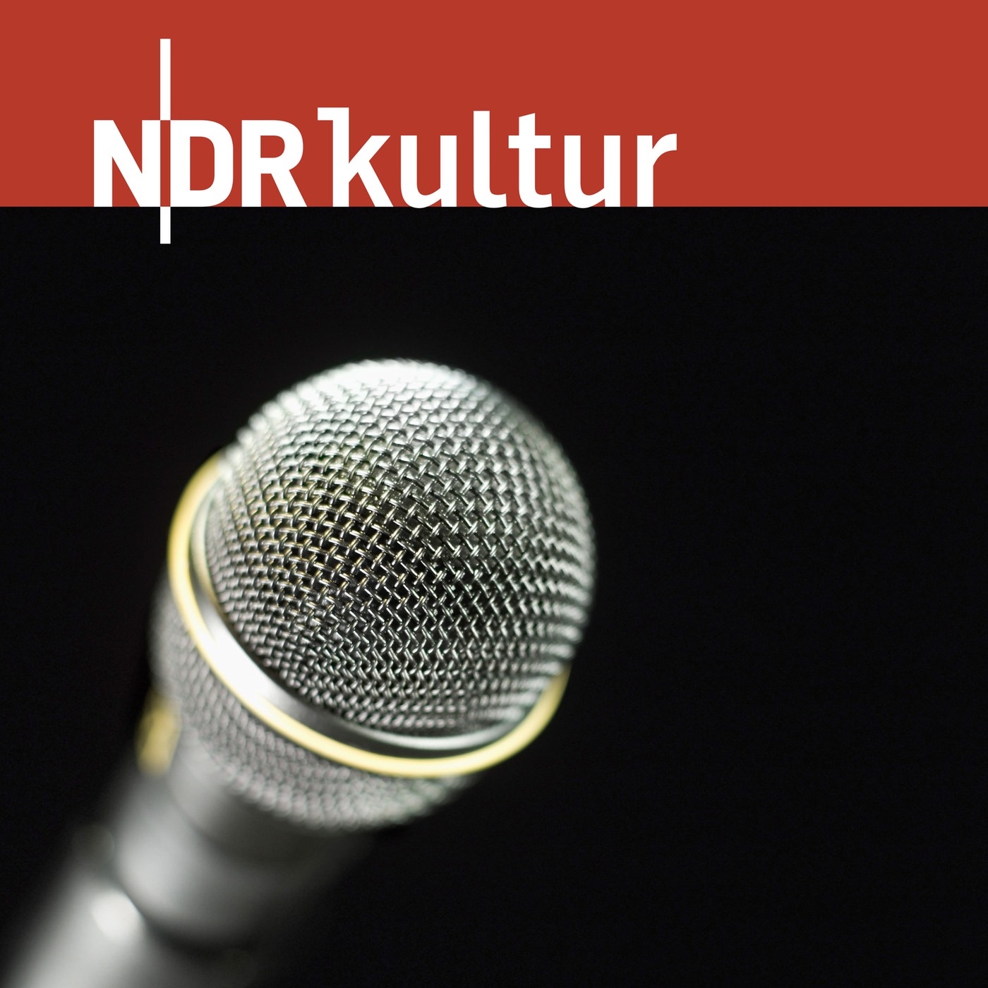 NDR Kultur - Das Gespräch 