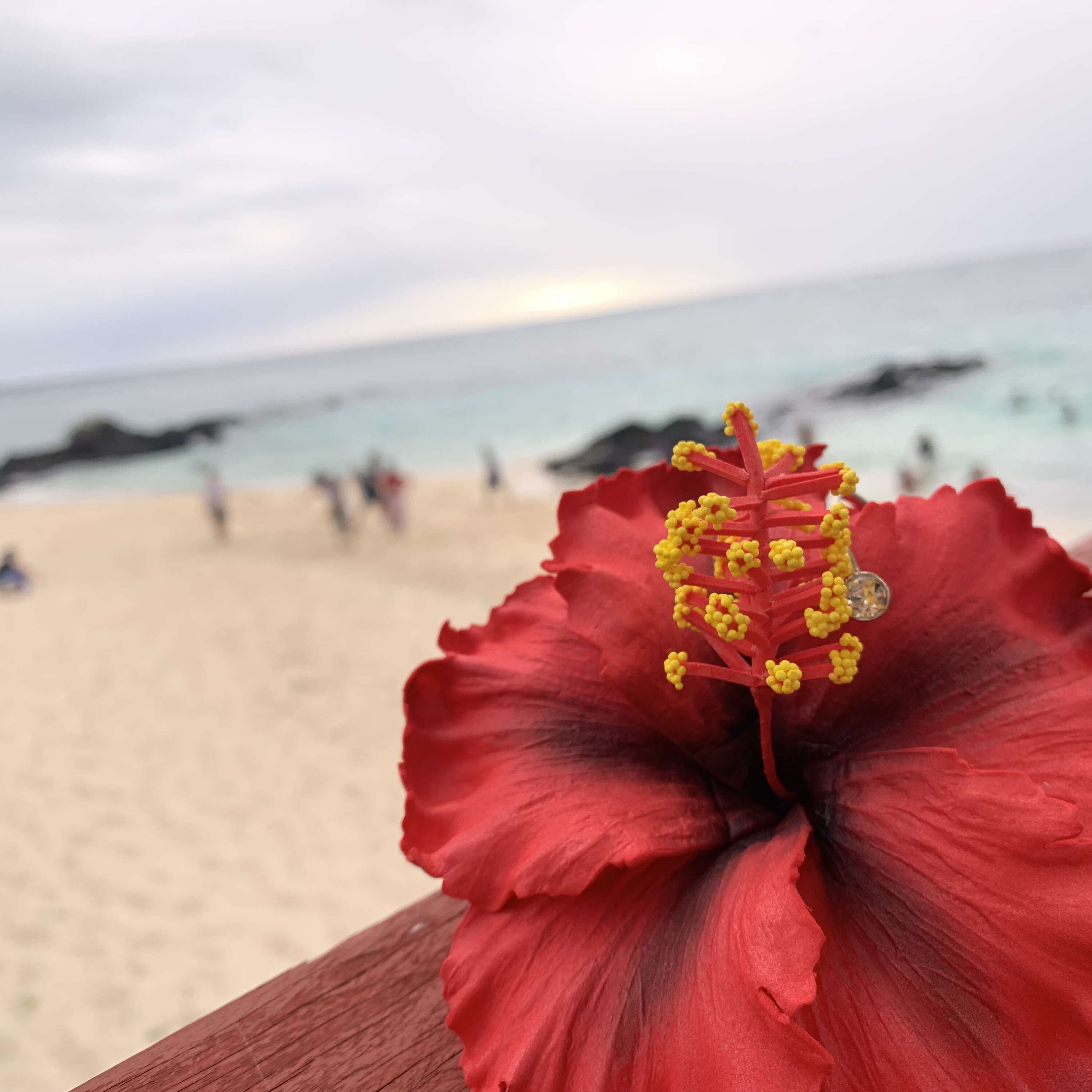 Samoan Devotional 