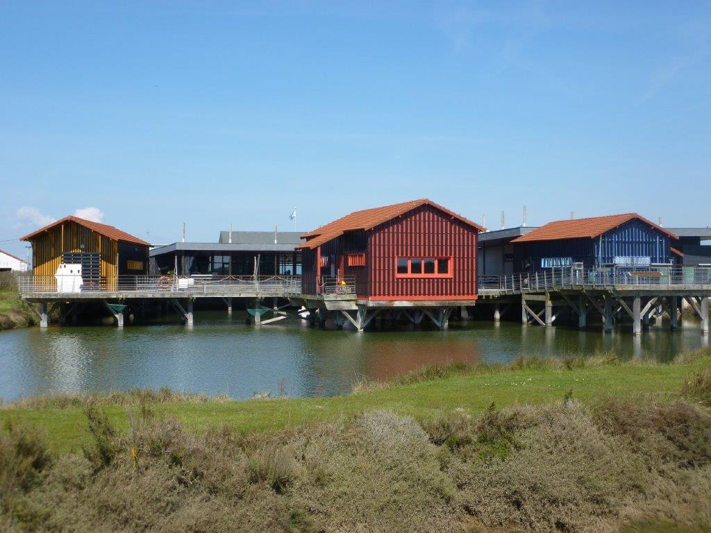 ⁣Aujourd’hui, direction la Charente Maritime pour la Cité de L’Huitre !