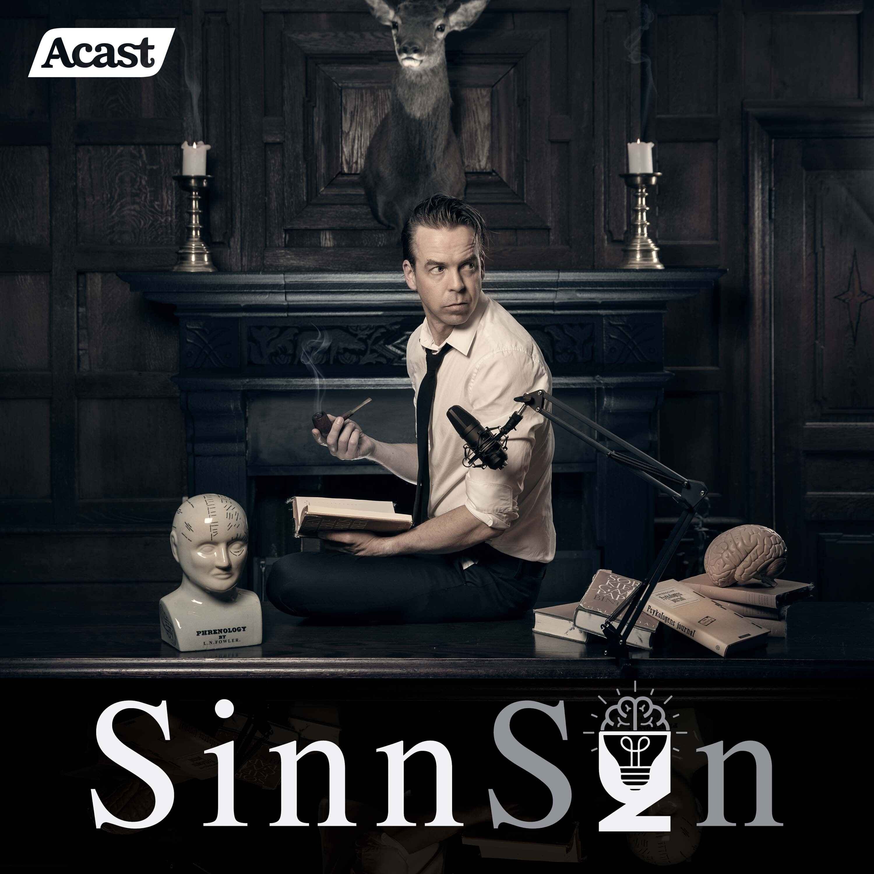 SinnSyn 