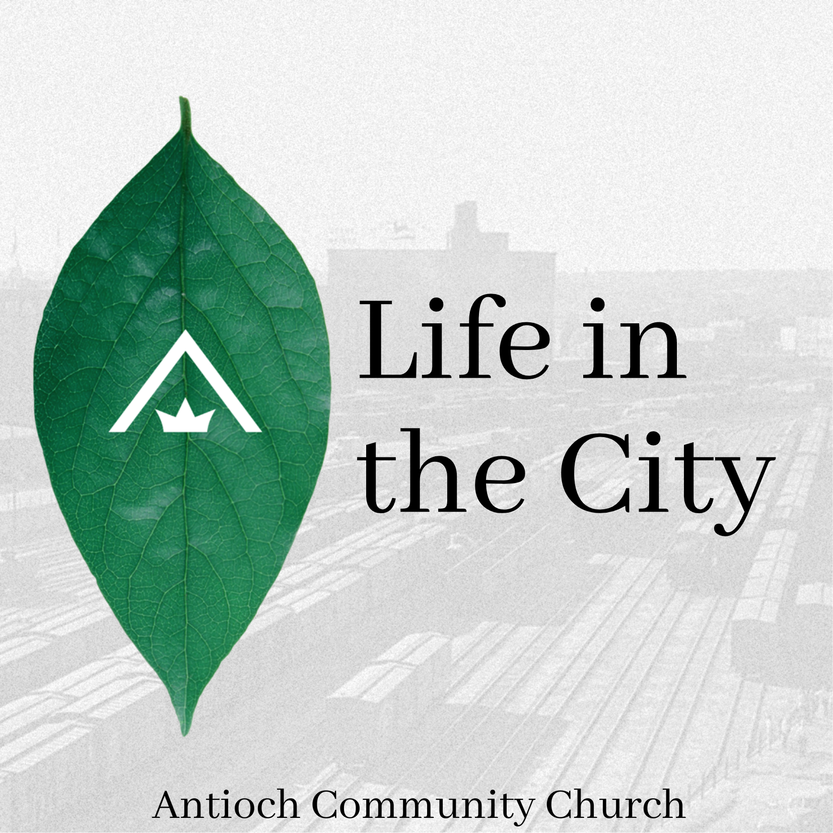 ⁣Life in the City: Nurturing the Faith of the Next Generation