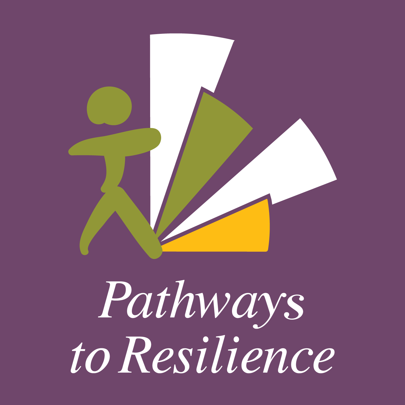 Pathways to Resilience by Community Solutions 