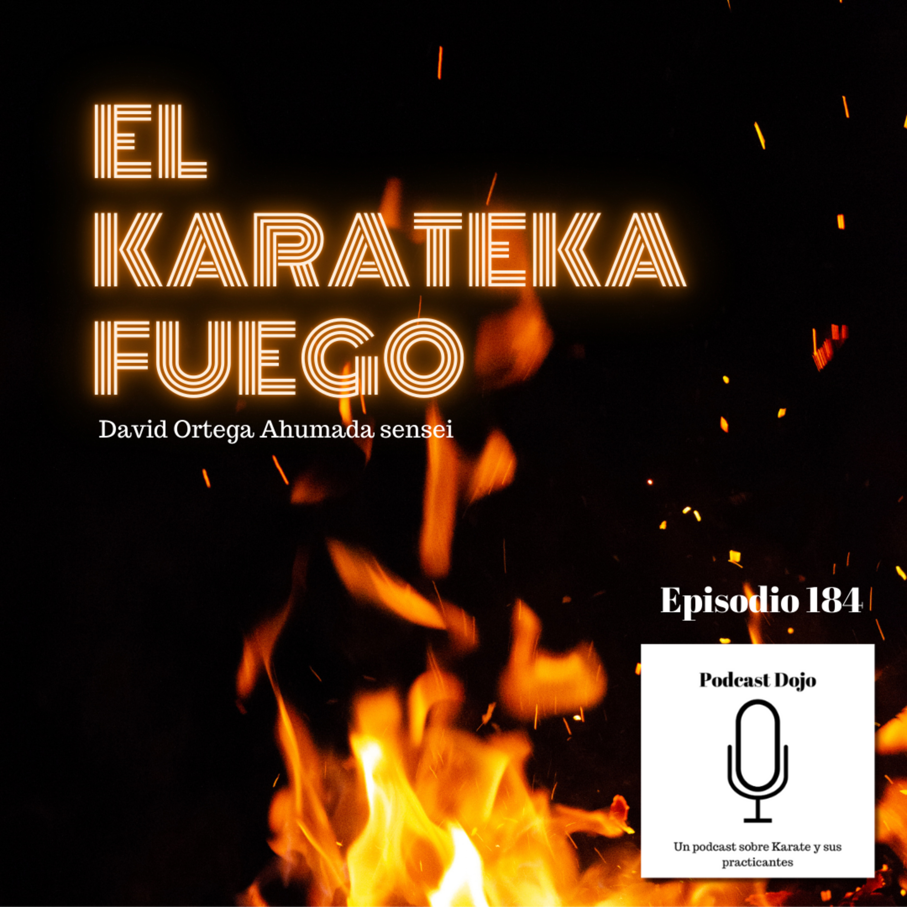 ⁣La tipología del Karateka: Fuego