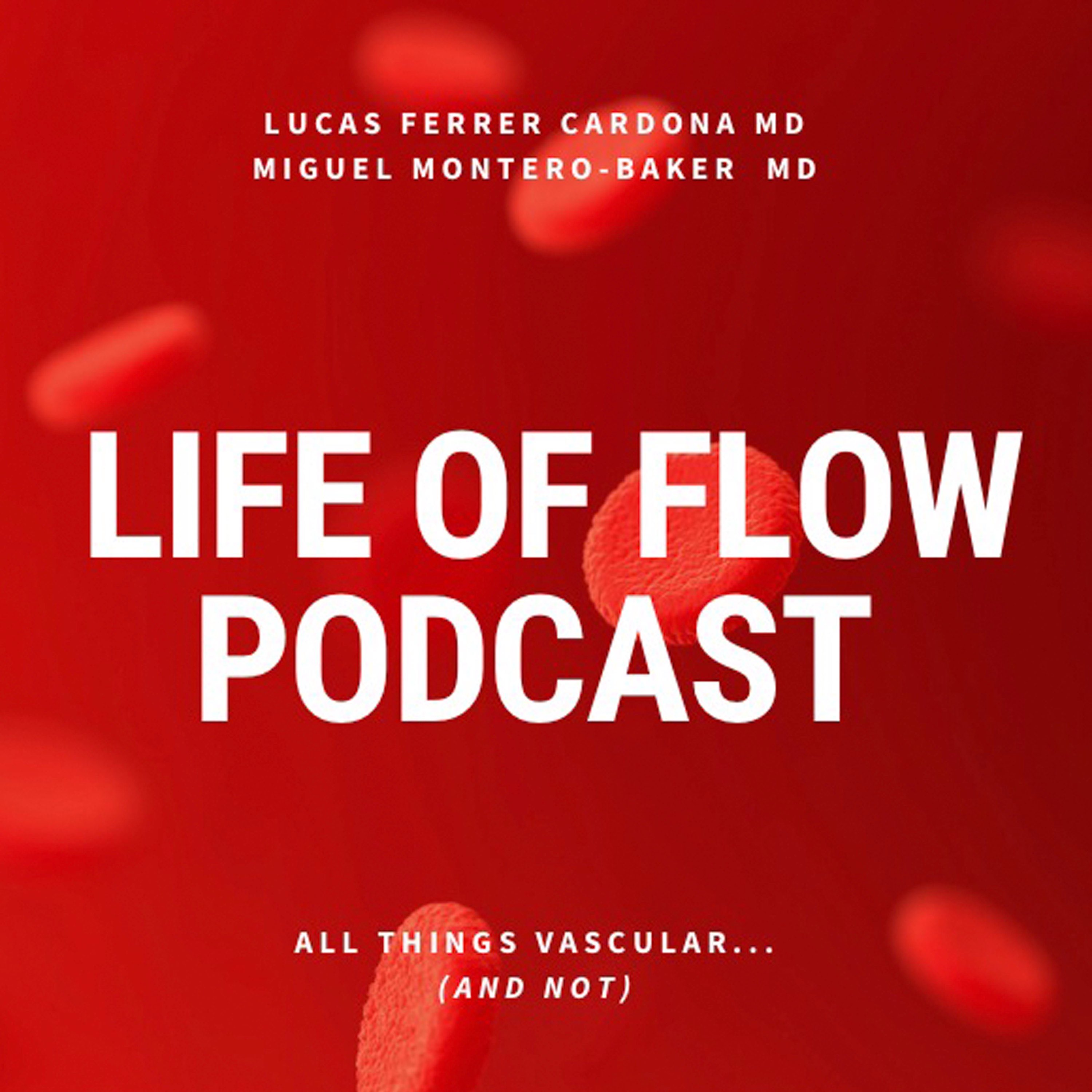 Entrepreneurship in vascular care with Peter Schneider