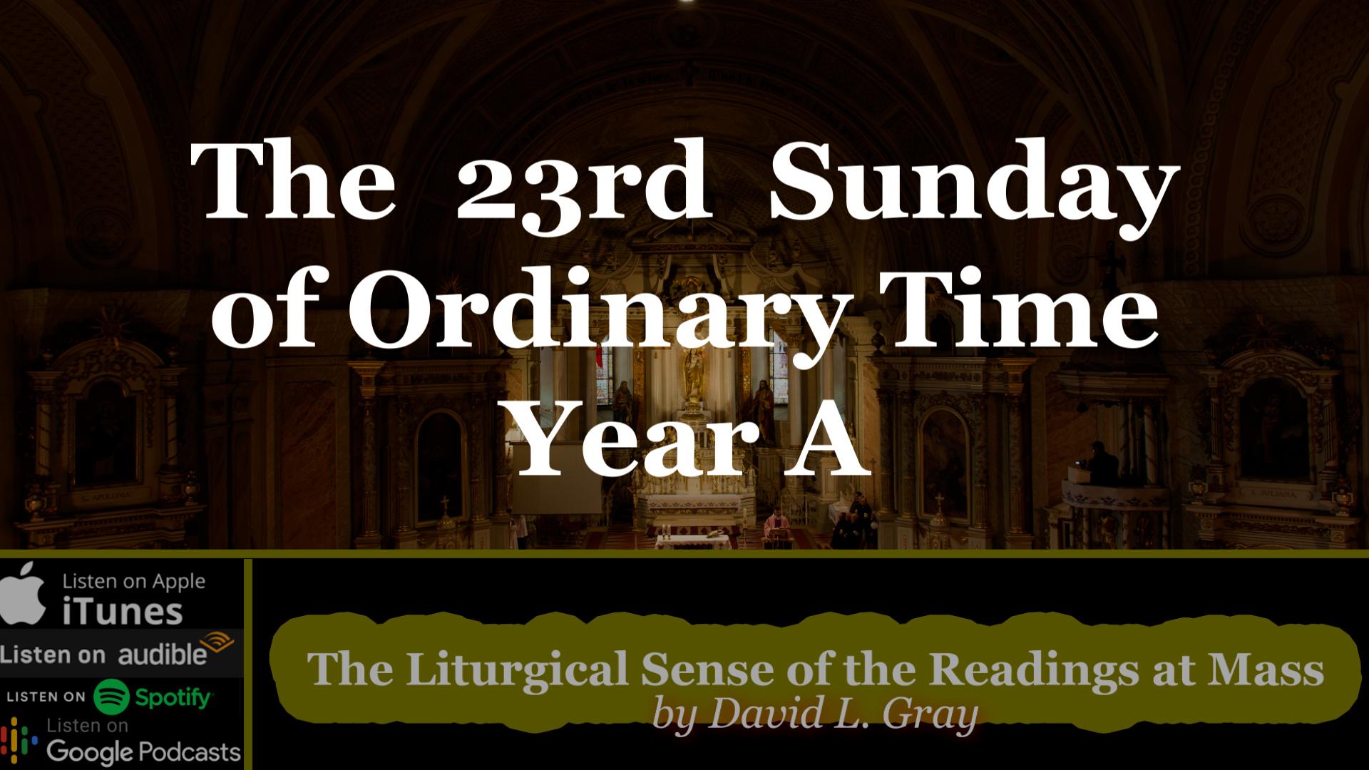 ⁣The Liturgy is Building a Culture and a Community of Mercy, Love, and Healing (23rd Sunday of Ordinary Time) – Year A