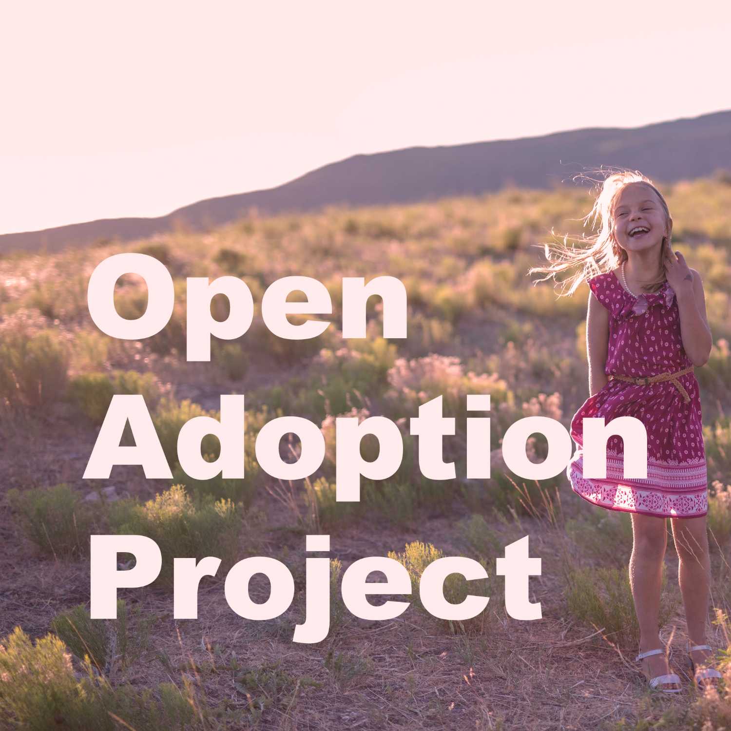 Open Adoption Project 