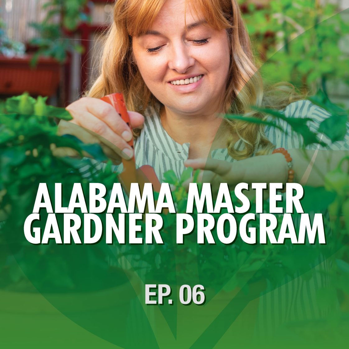 ⁣Season 1 Episode 6 – Alabama Master Gardener Program