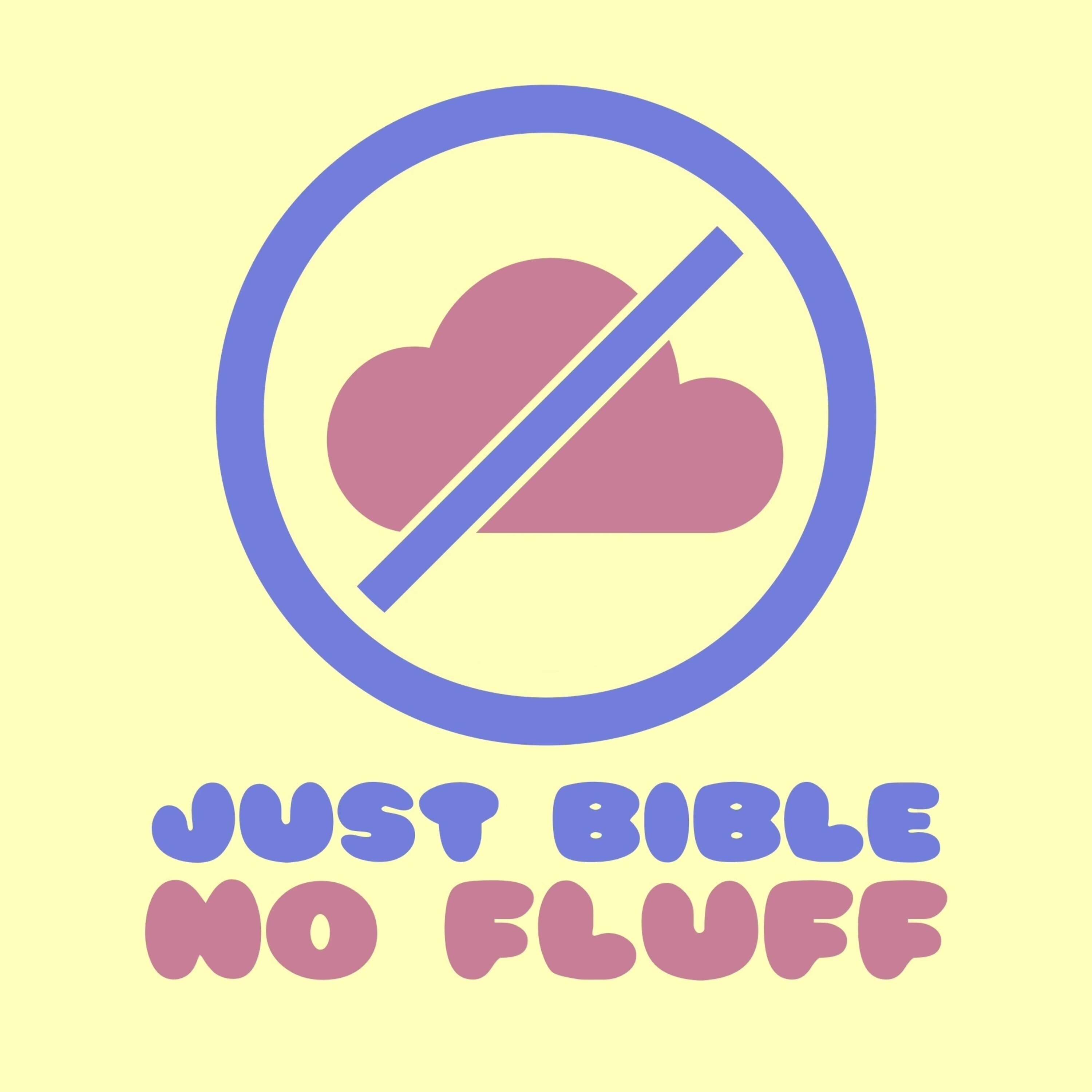 Just Bible No Fluff 