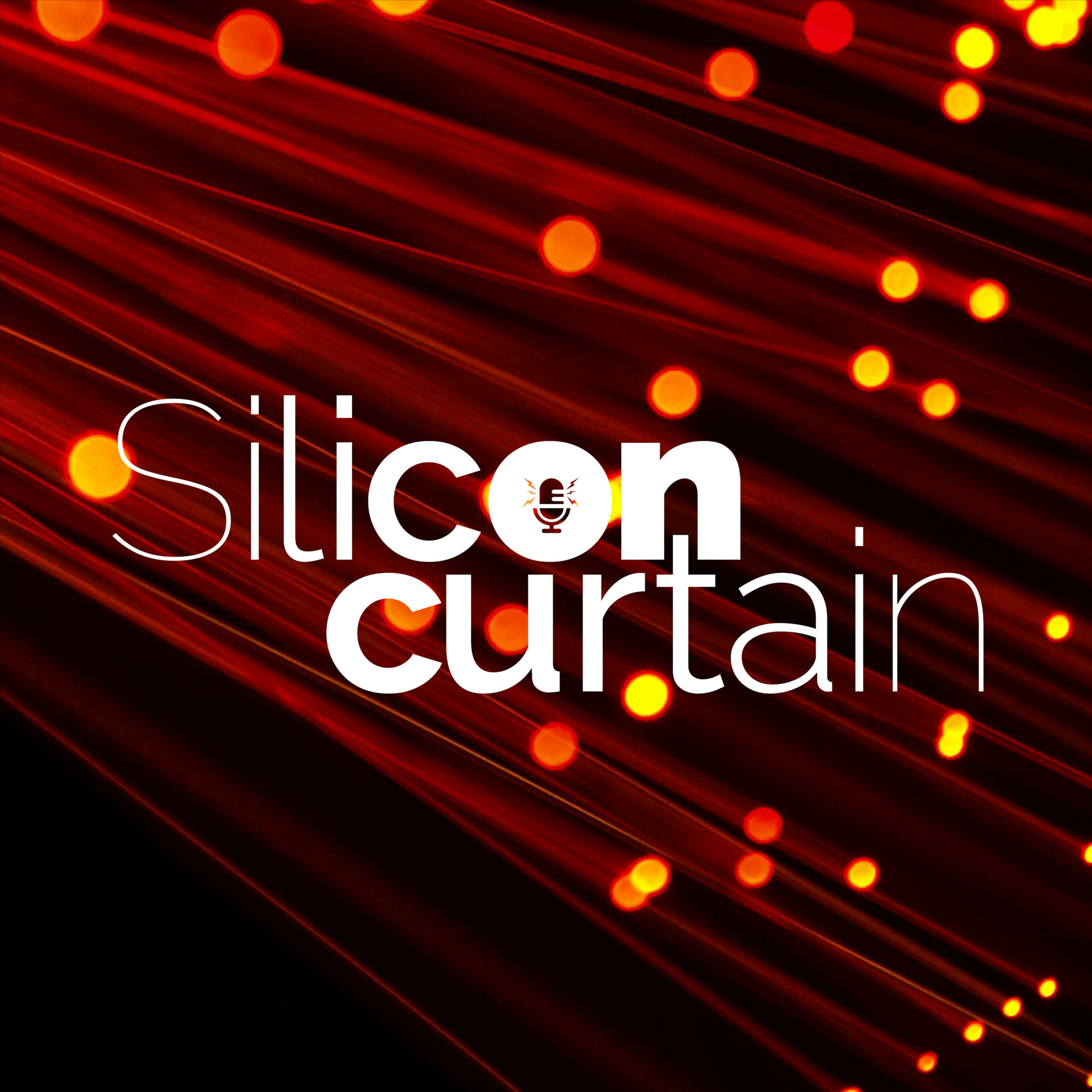 Silicon Curtain 