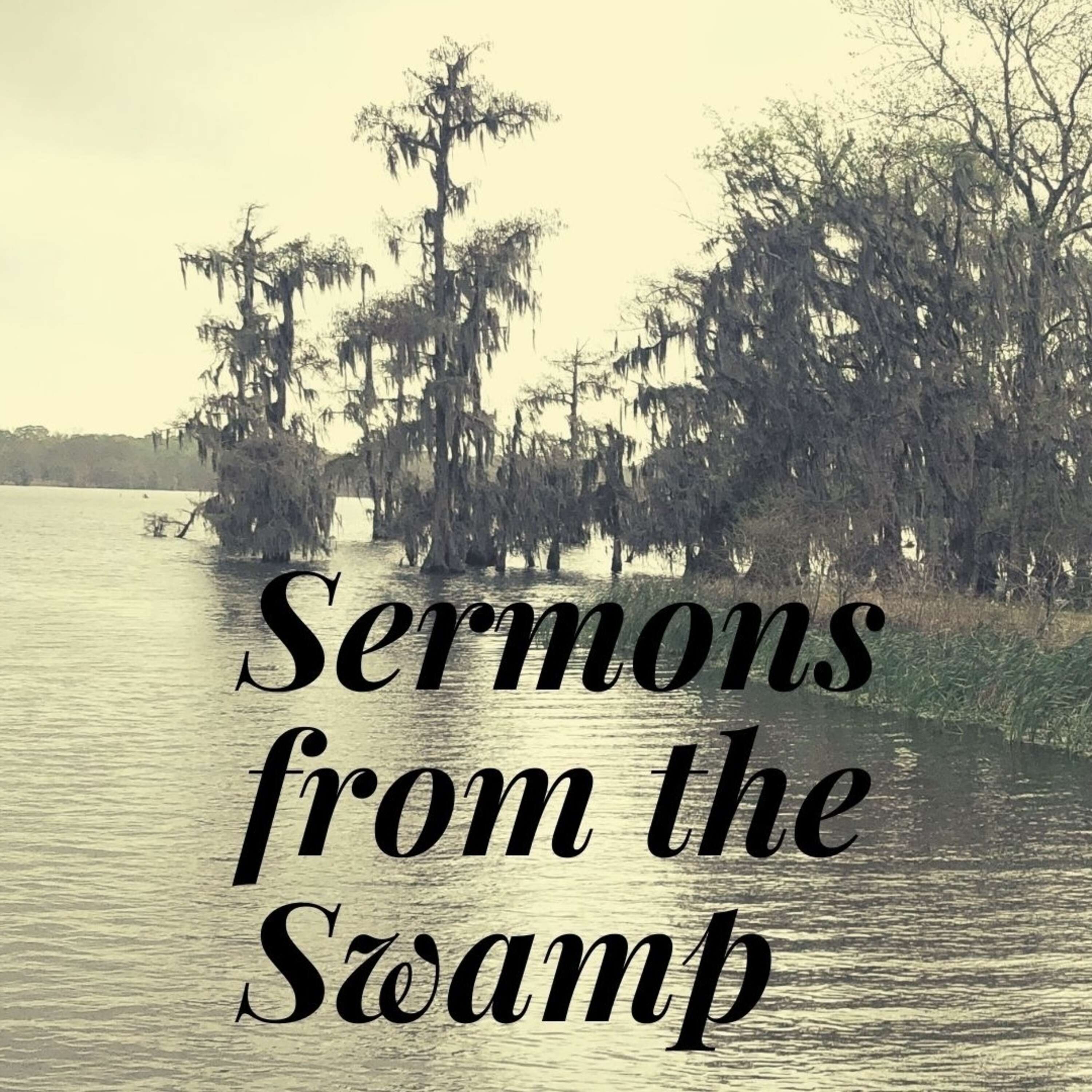 Sermons from the Swamp 