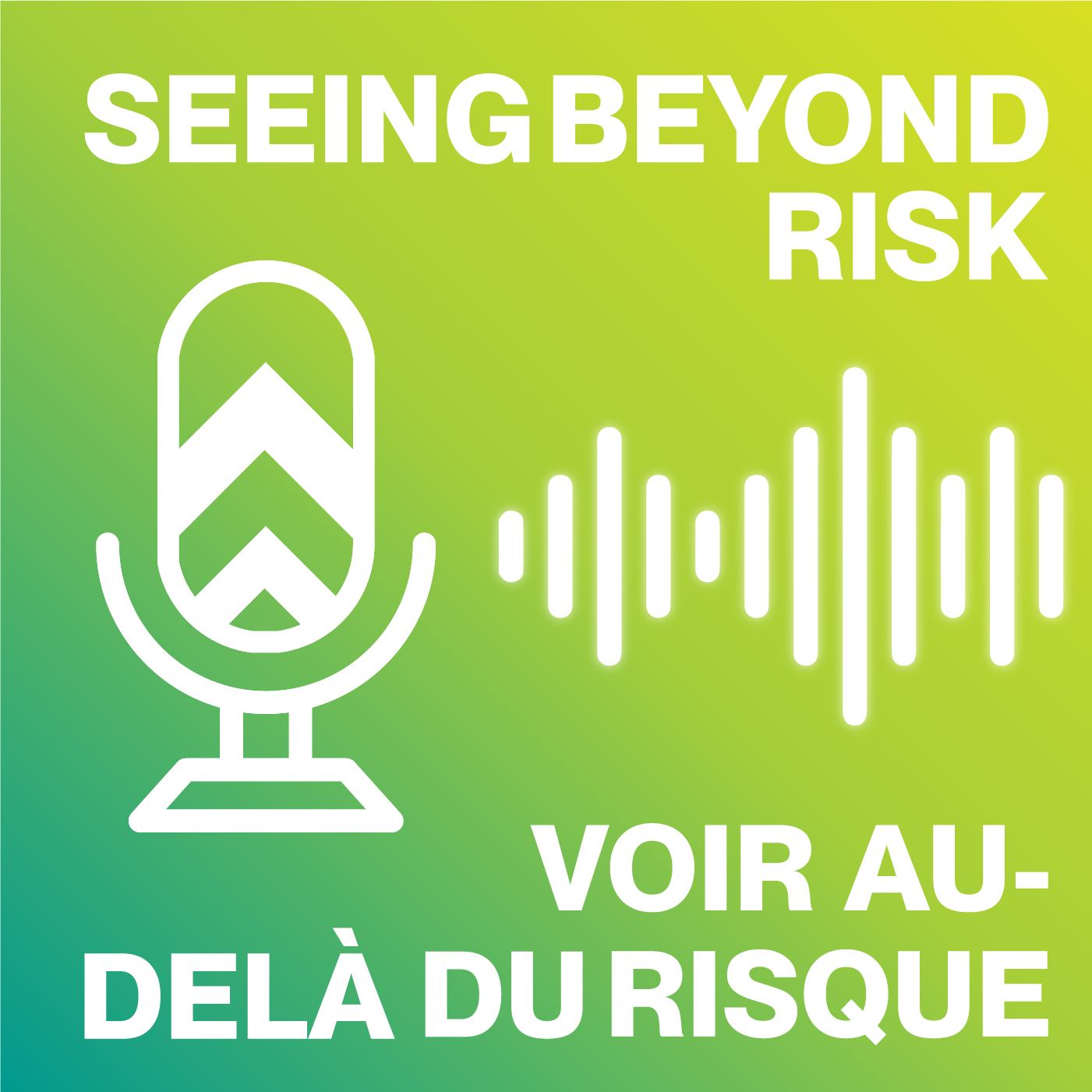 Seeing Beyond Risk / Voir au-delà du risque 