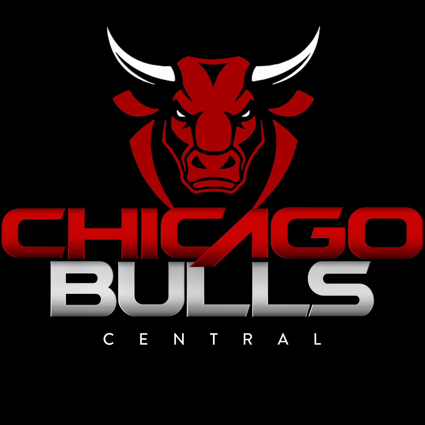 Chicago Bulls Central 