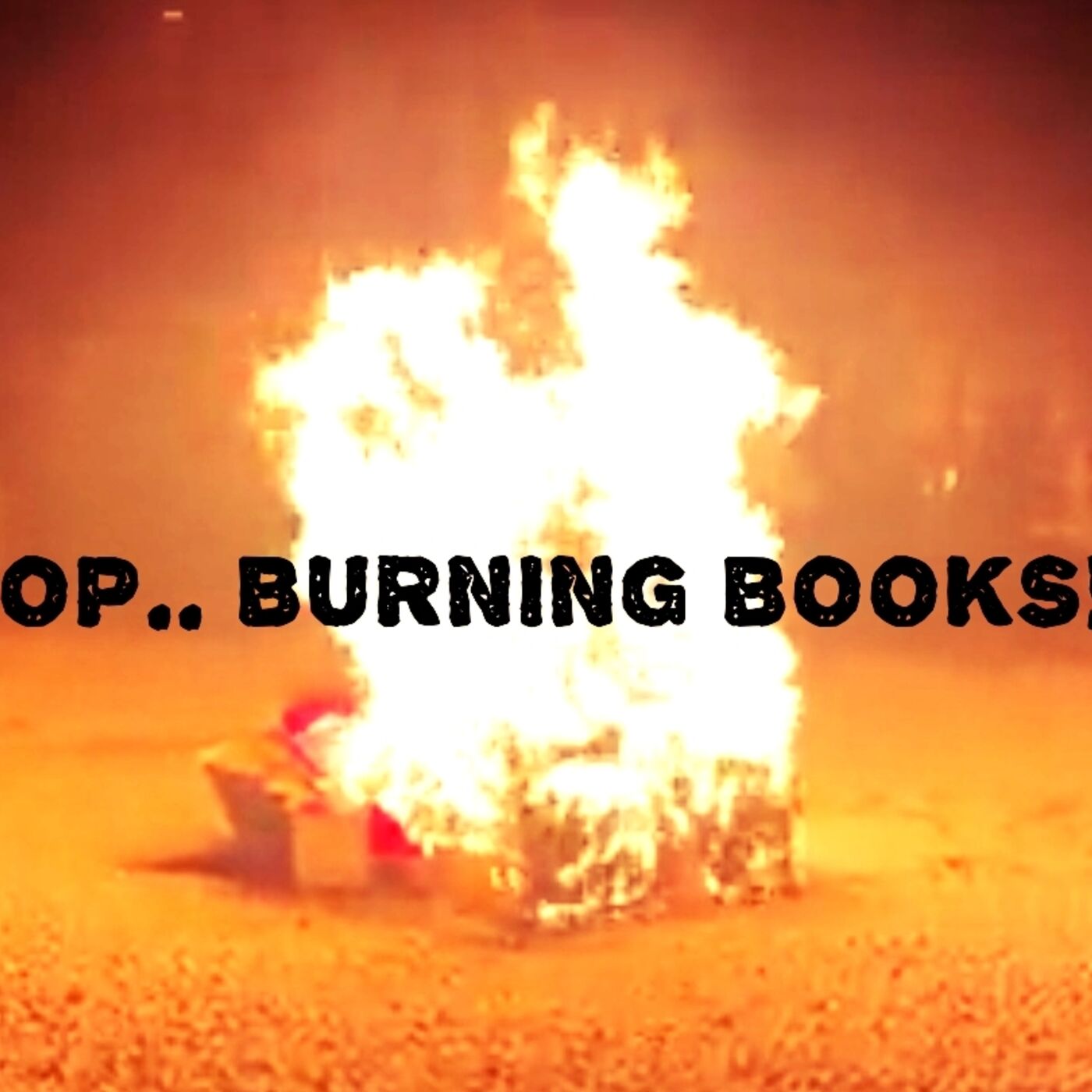 Gop candidate in Missouri, uses a flames to burn books at the gov. Mansion