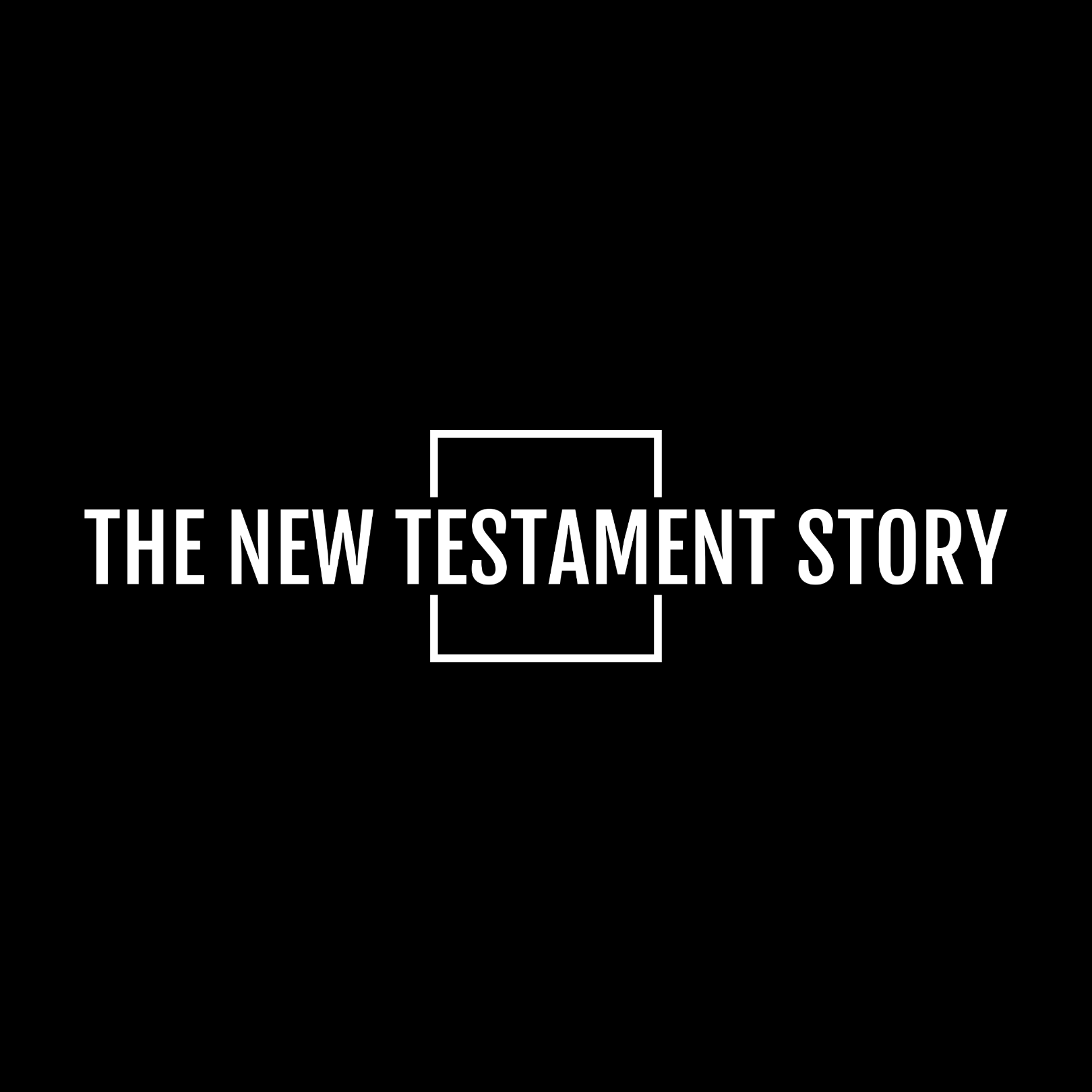 The New Testament Story 