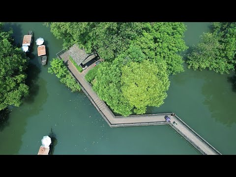 ⁣Live: An enchanting view of China's first national wetland park