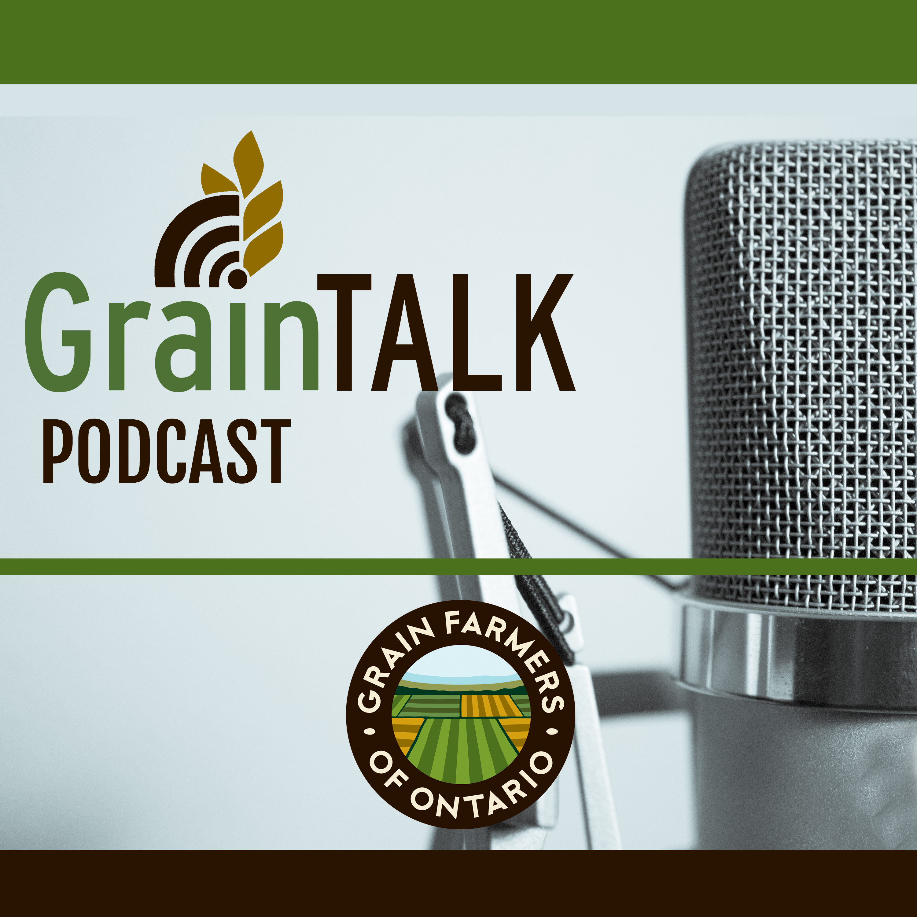 GrainTALK 