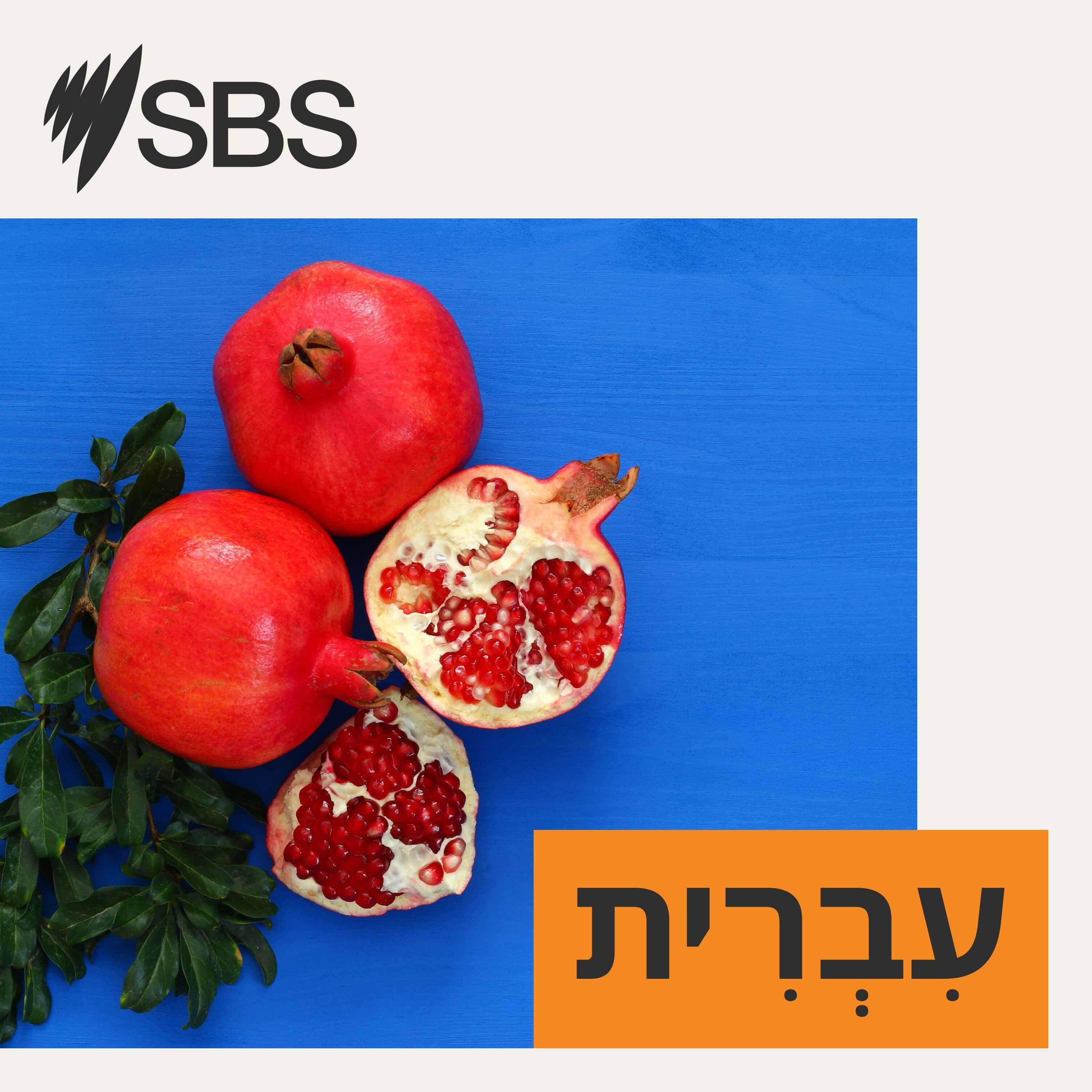 ⁣The News in Hebrew (10.9.23)