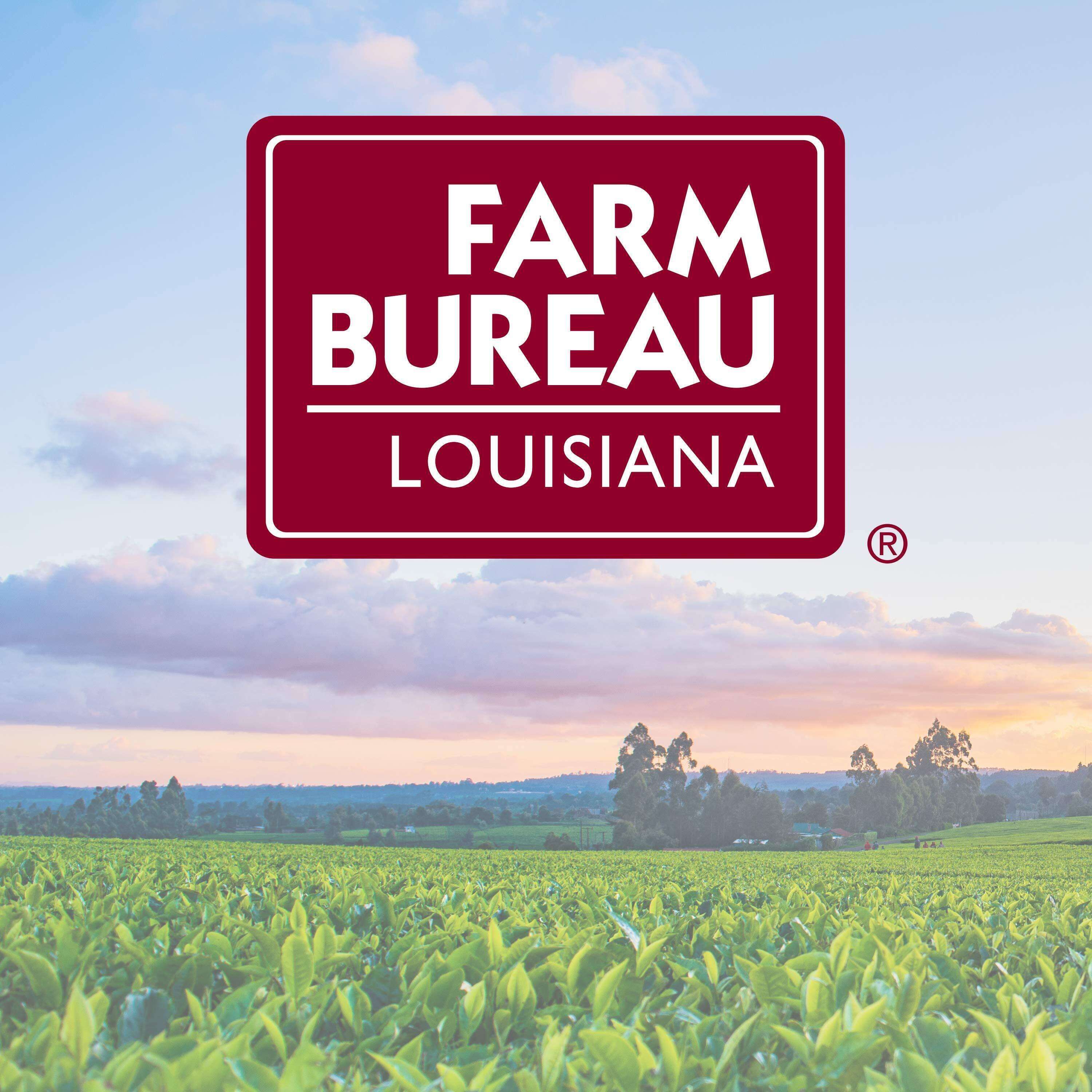 Louisiana Farm Bureau Podcast 