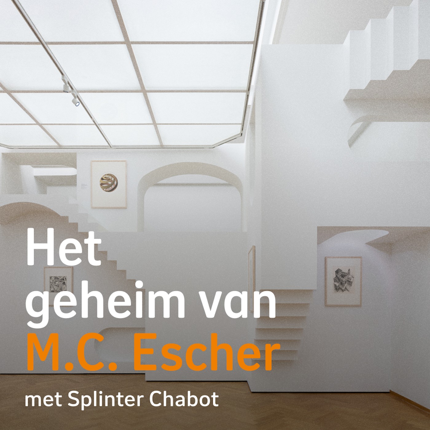 Het geheim van M.C. Escher