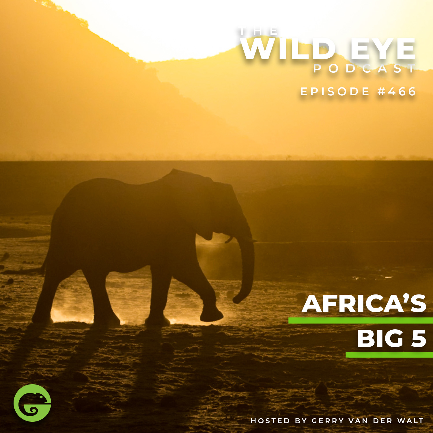 #466 - Africa's Big 5