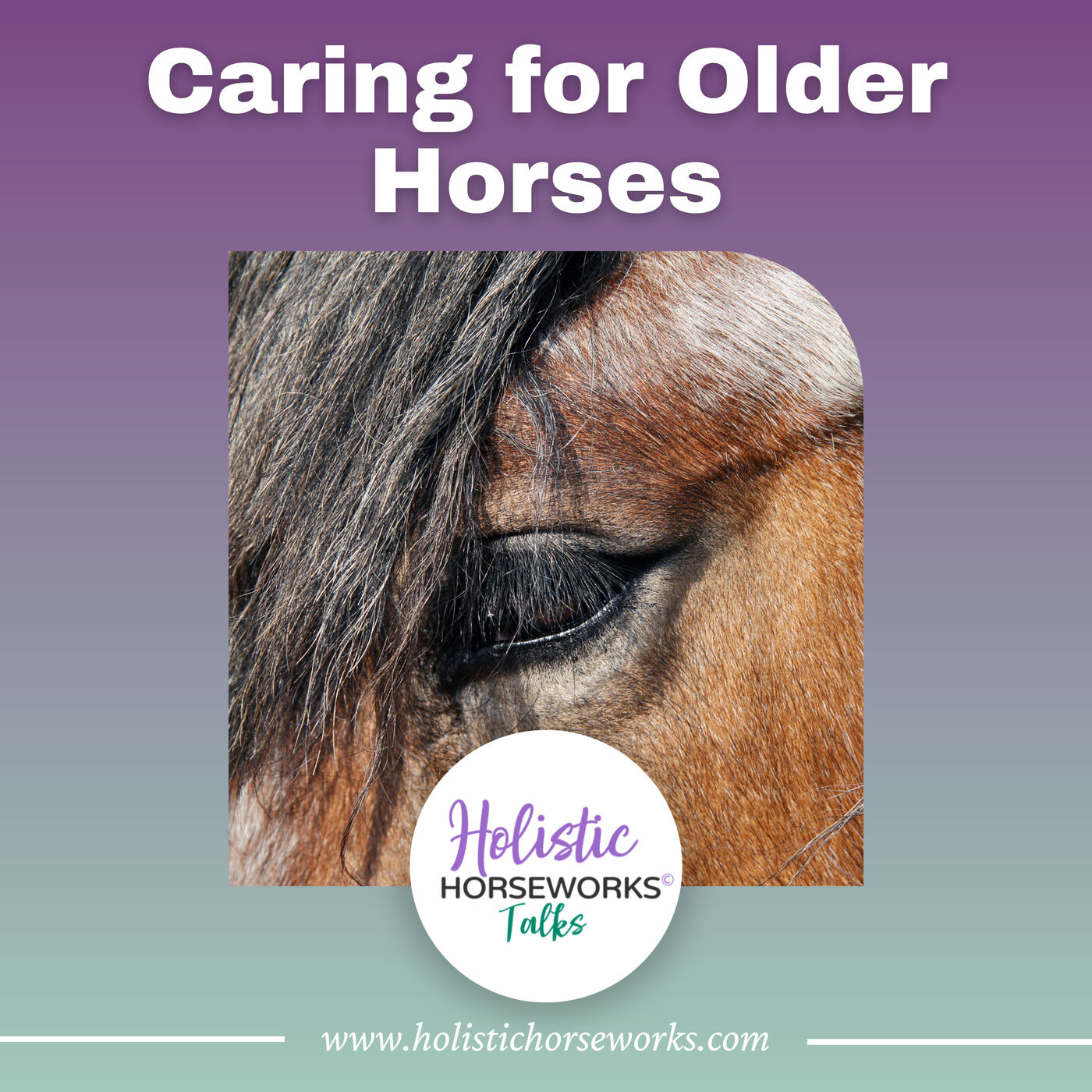 Caring for Older Horses: Arthritis, Mobility, Nutrition, and Hooves