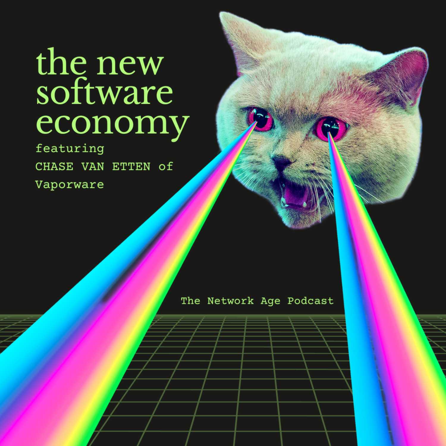 The New Software Economy (feat. Chase Van Etten)