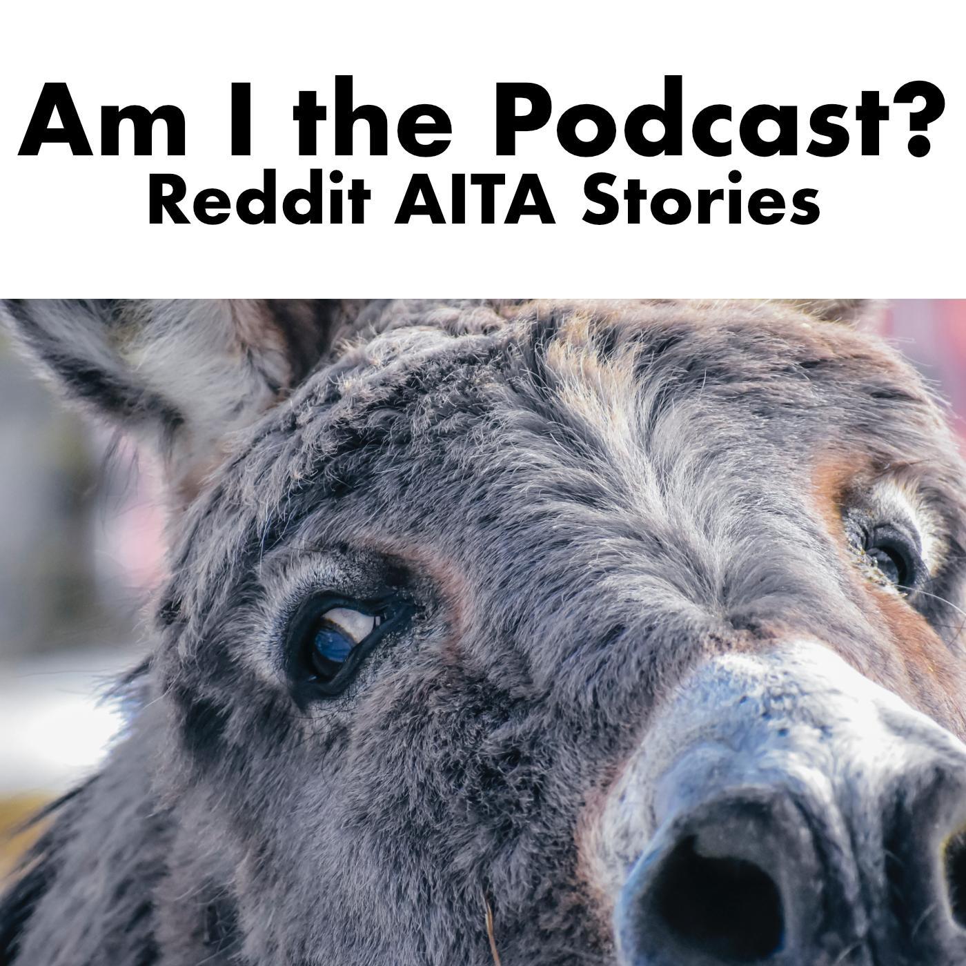 Am I The Podcast?: Reddit AITA Stories 