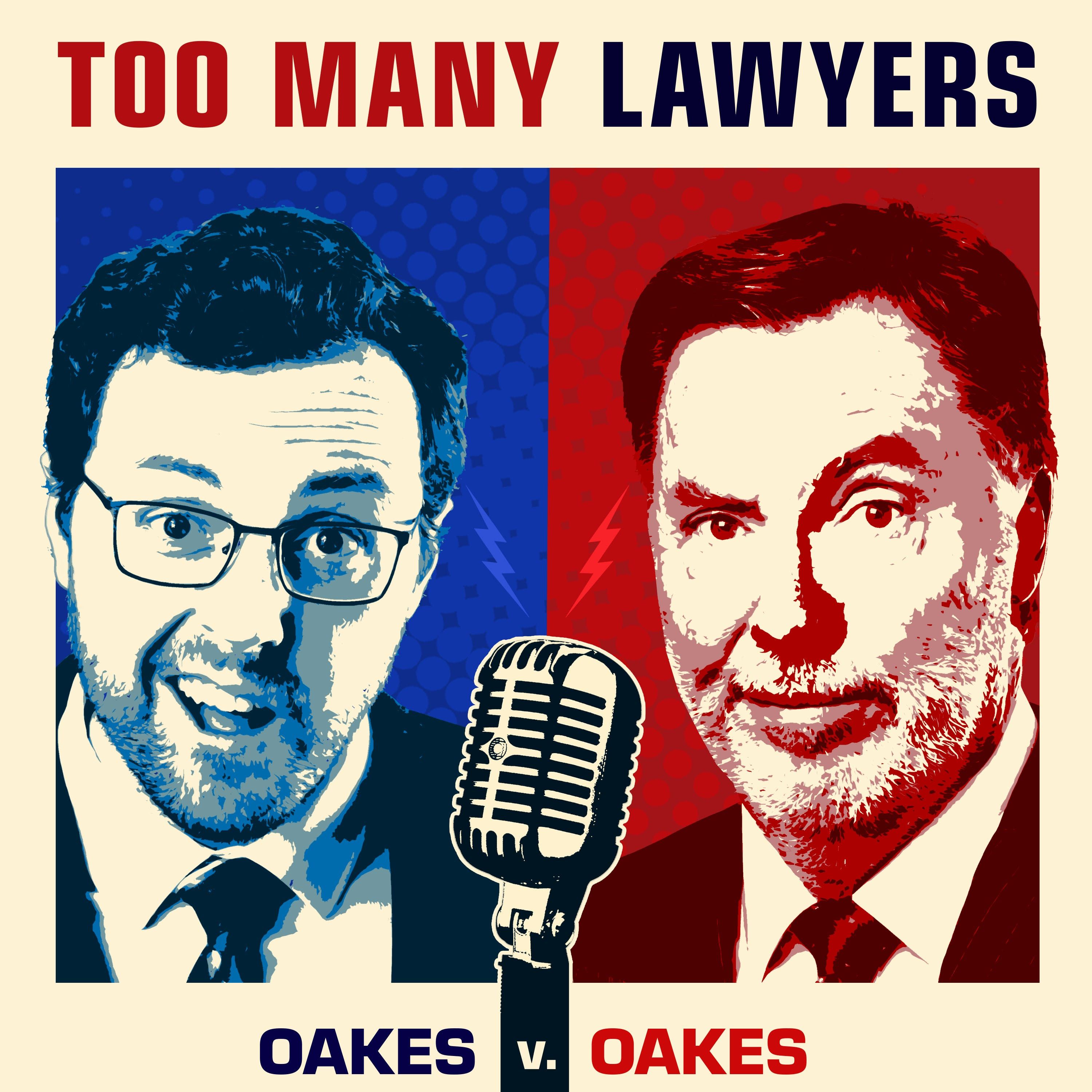 Too Many Lawyers 