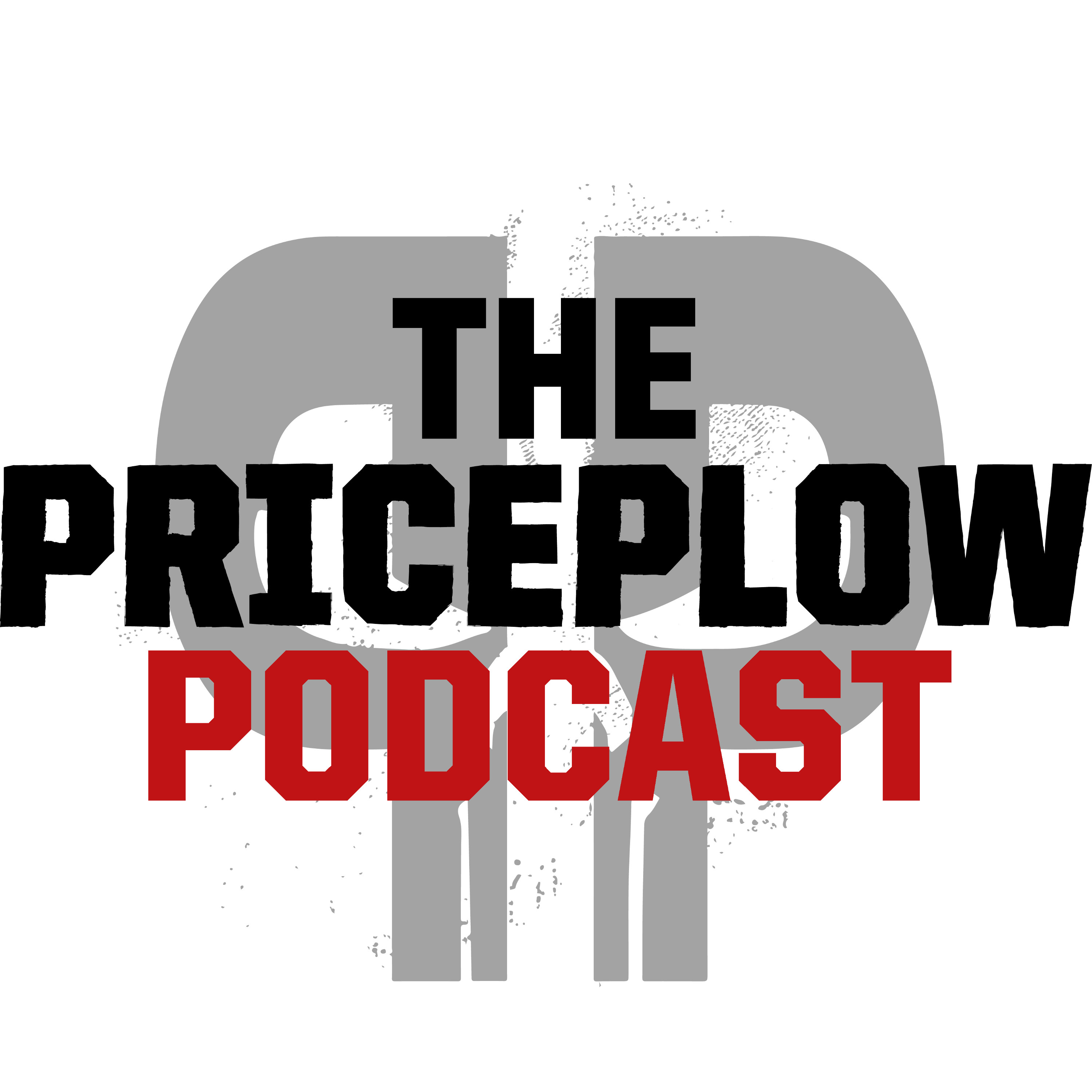 The PricePlow Podcast 