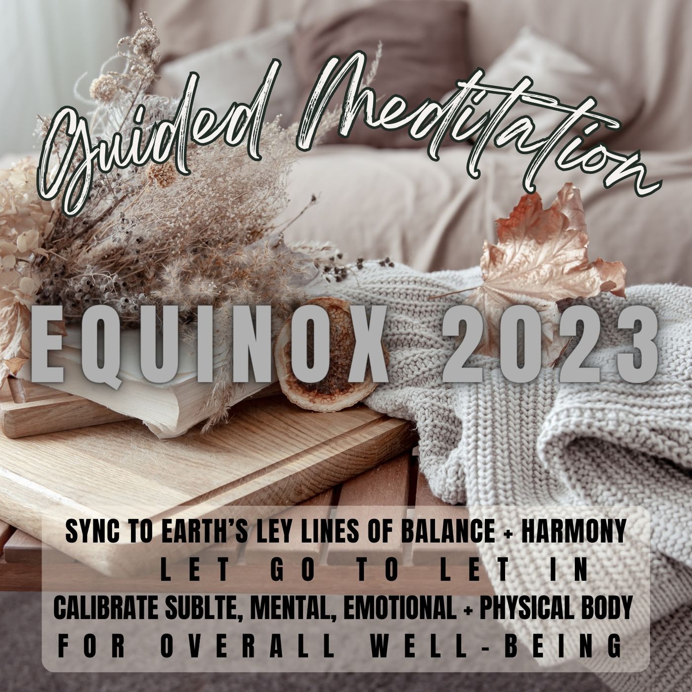 ⁣September 2023 Equinox Guided Meditation | Balance, Harmonize, Recalibrate