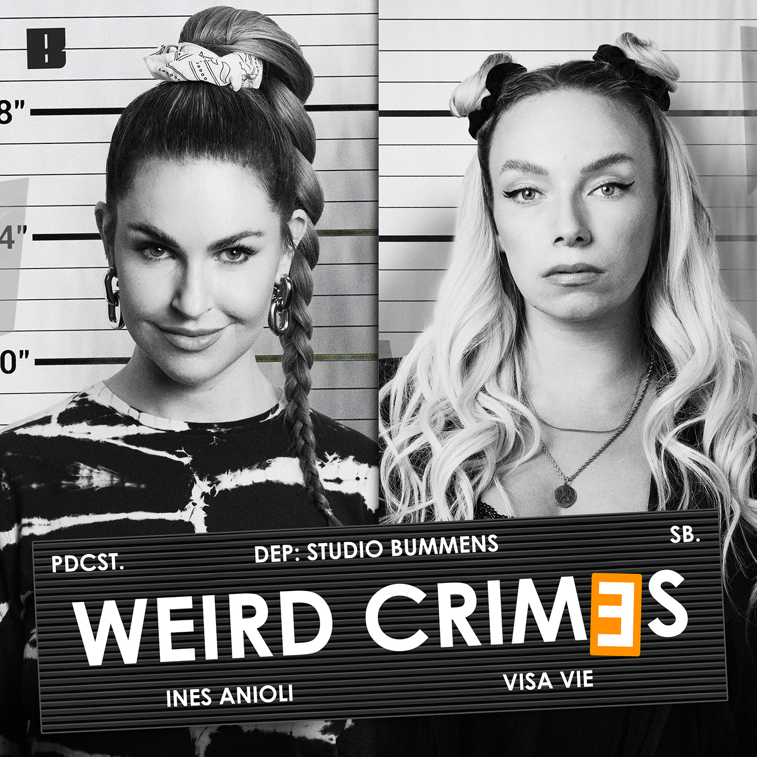 Weird Crimes 