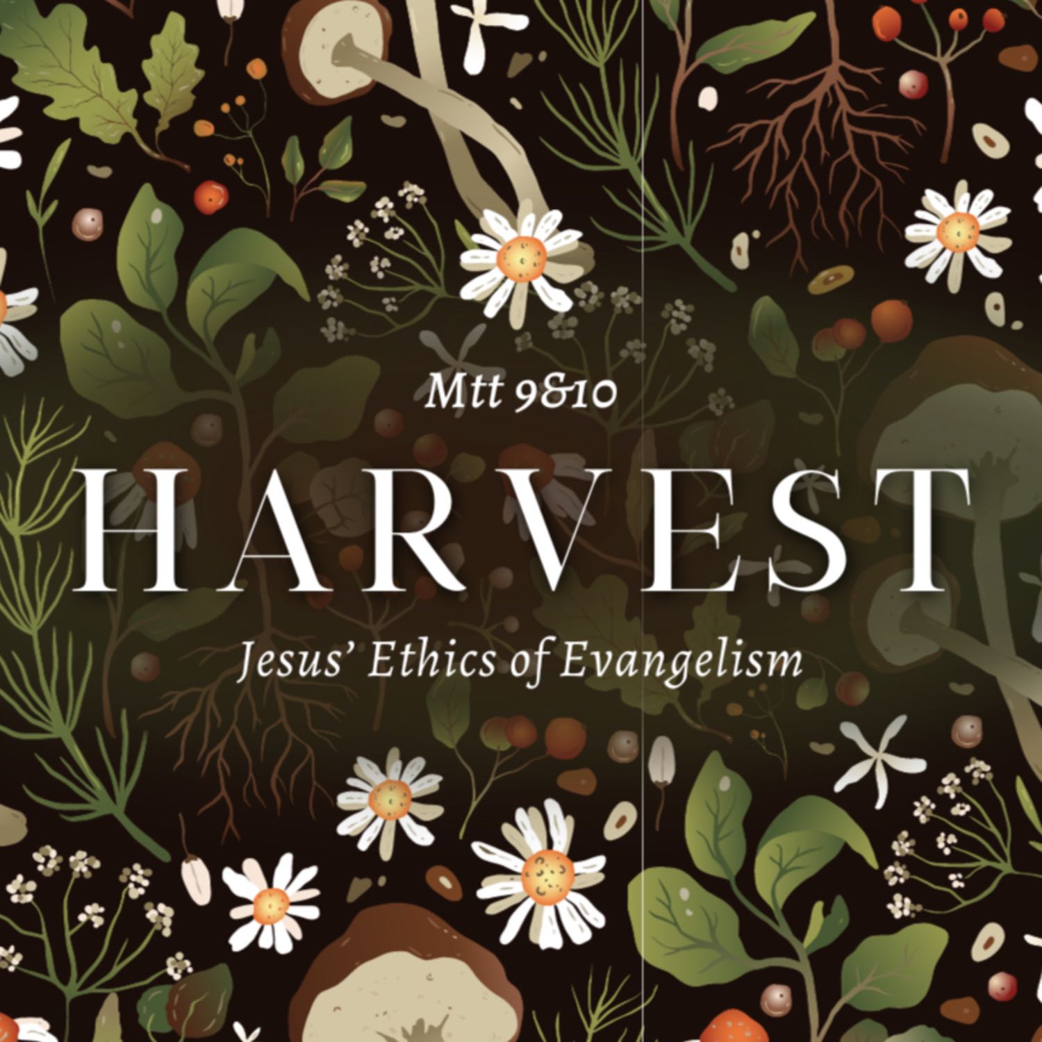 The Harvest Mtt 9:35-38