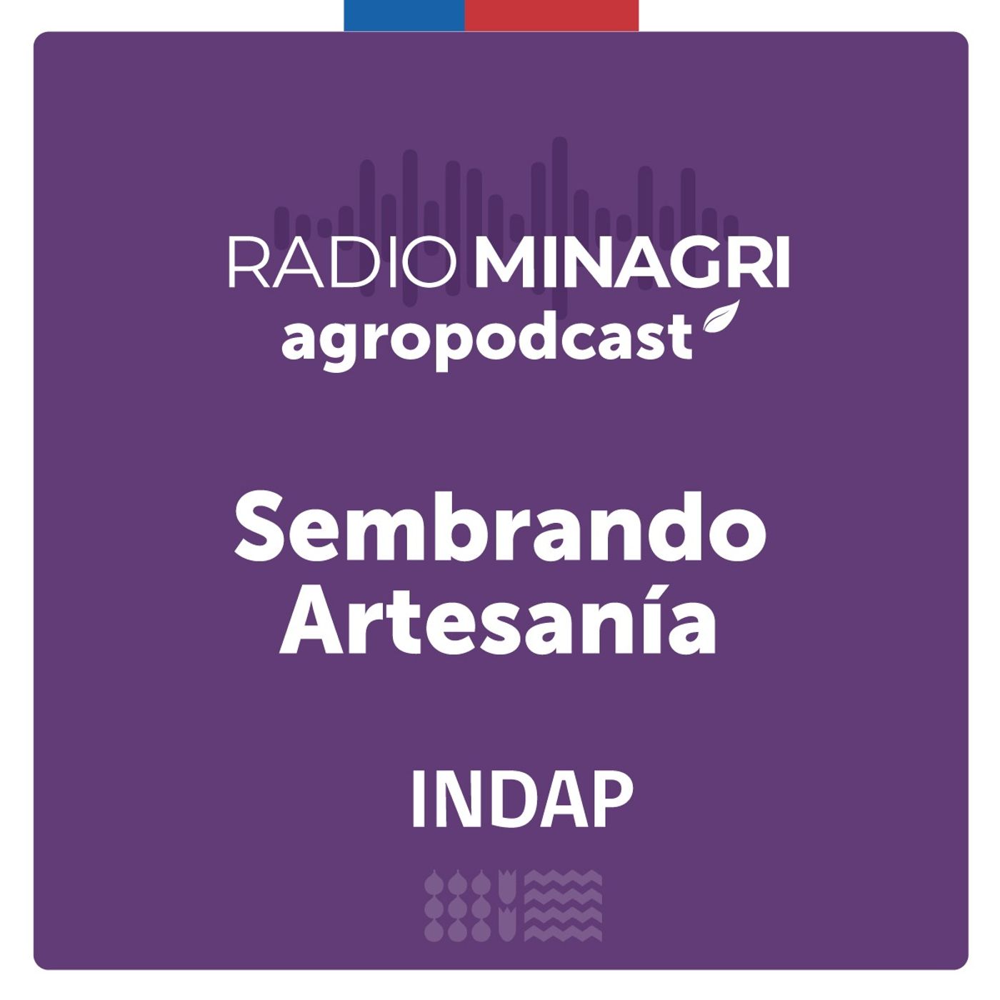 Sembrando artesanía – Episodio 59: Selma Cadín Pérez: Artesana de lana en Cerro Galera