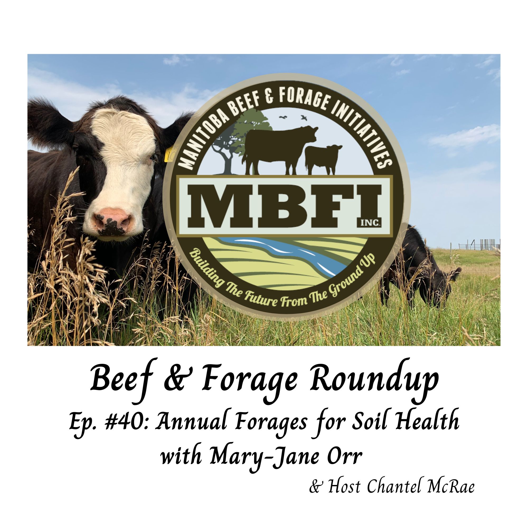 Annual Forages for Soil Health with Mary-Jane Orr