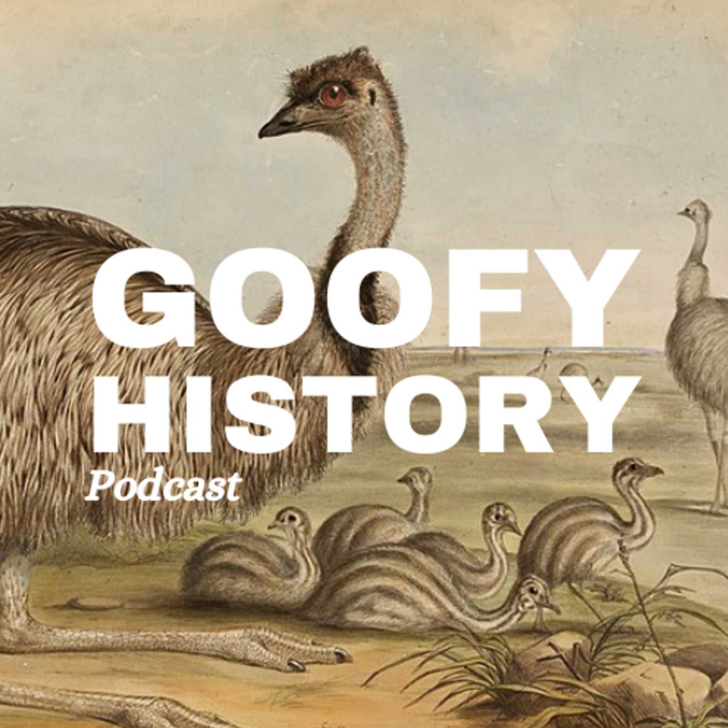 Goofy History 