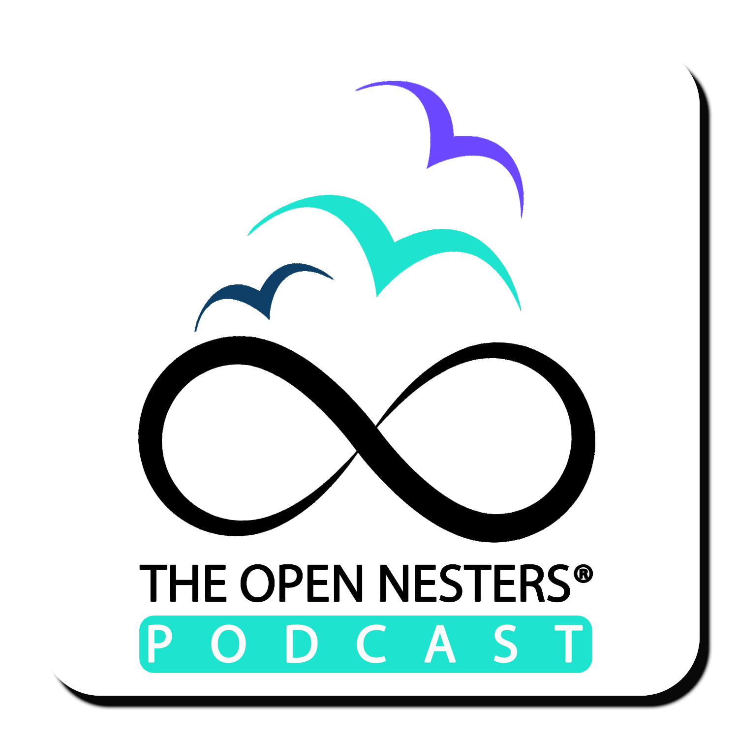 The Open Nesters 