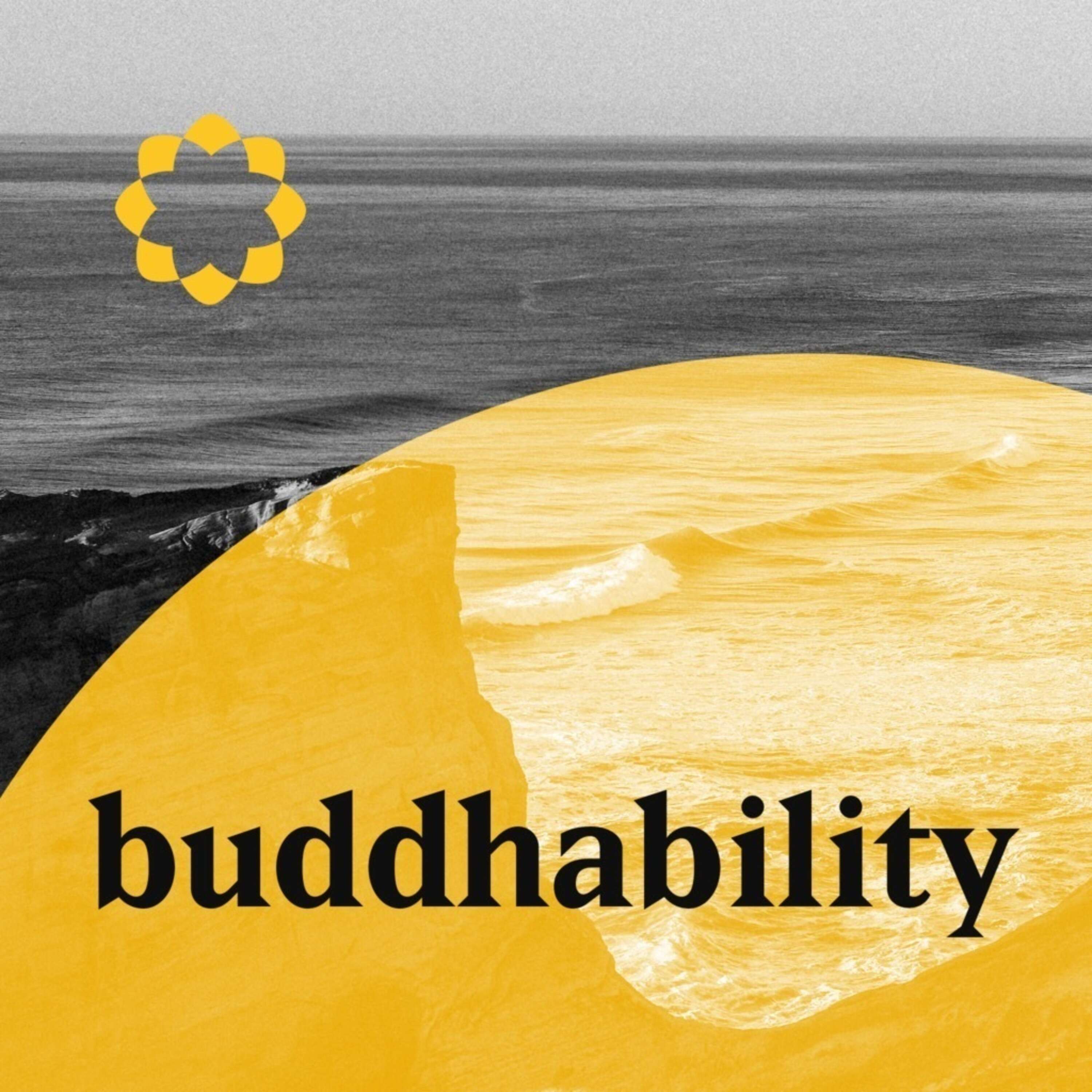 Buddhability 