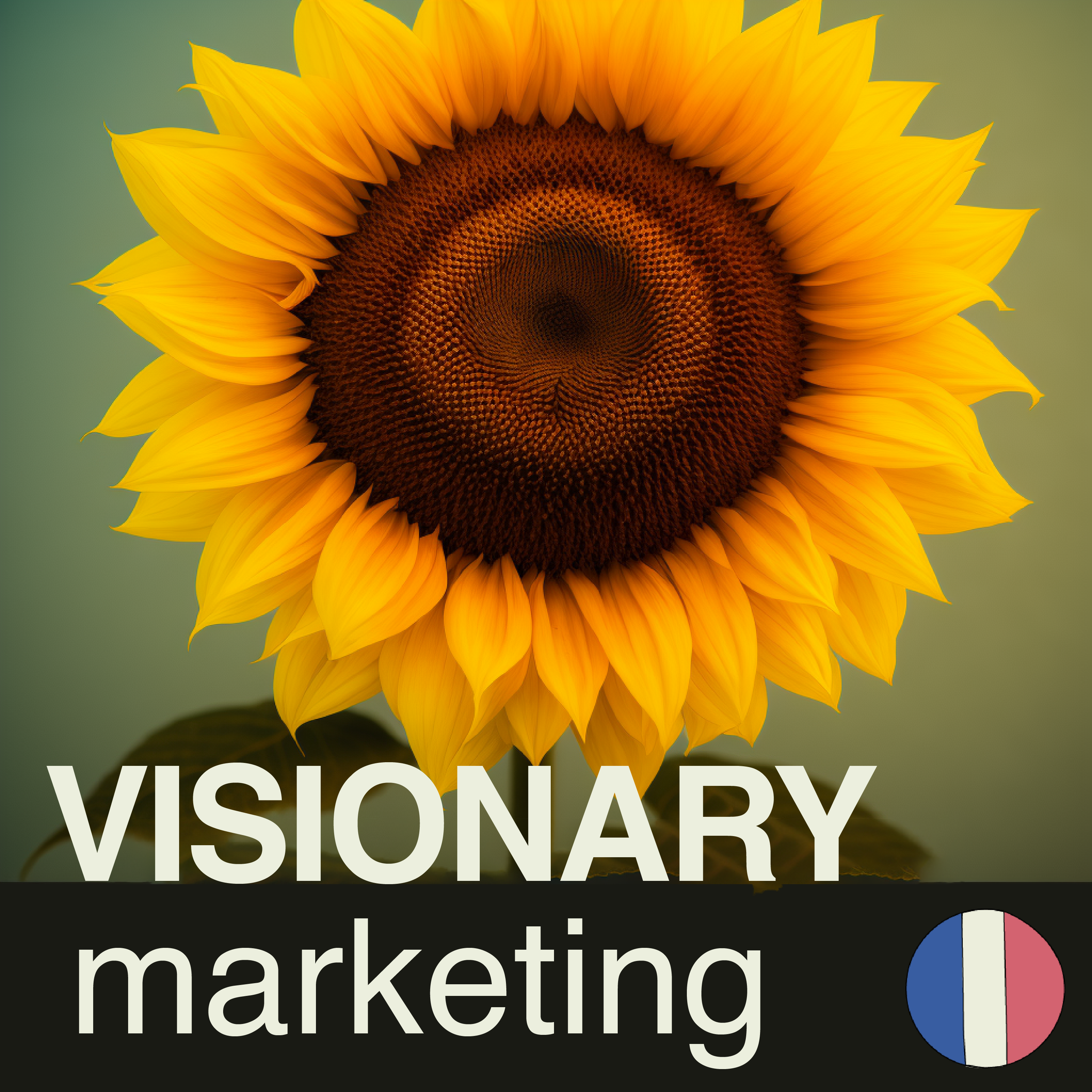 Les Podcasts de Visionary Marketing 