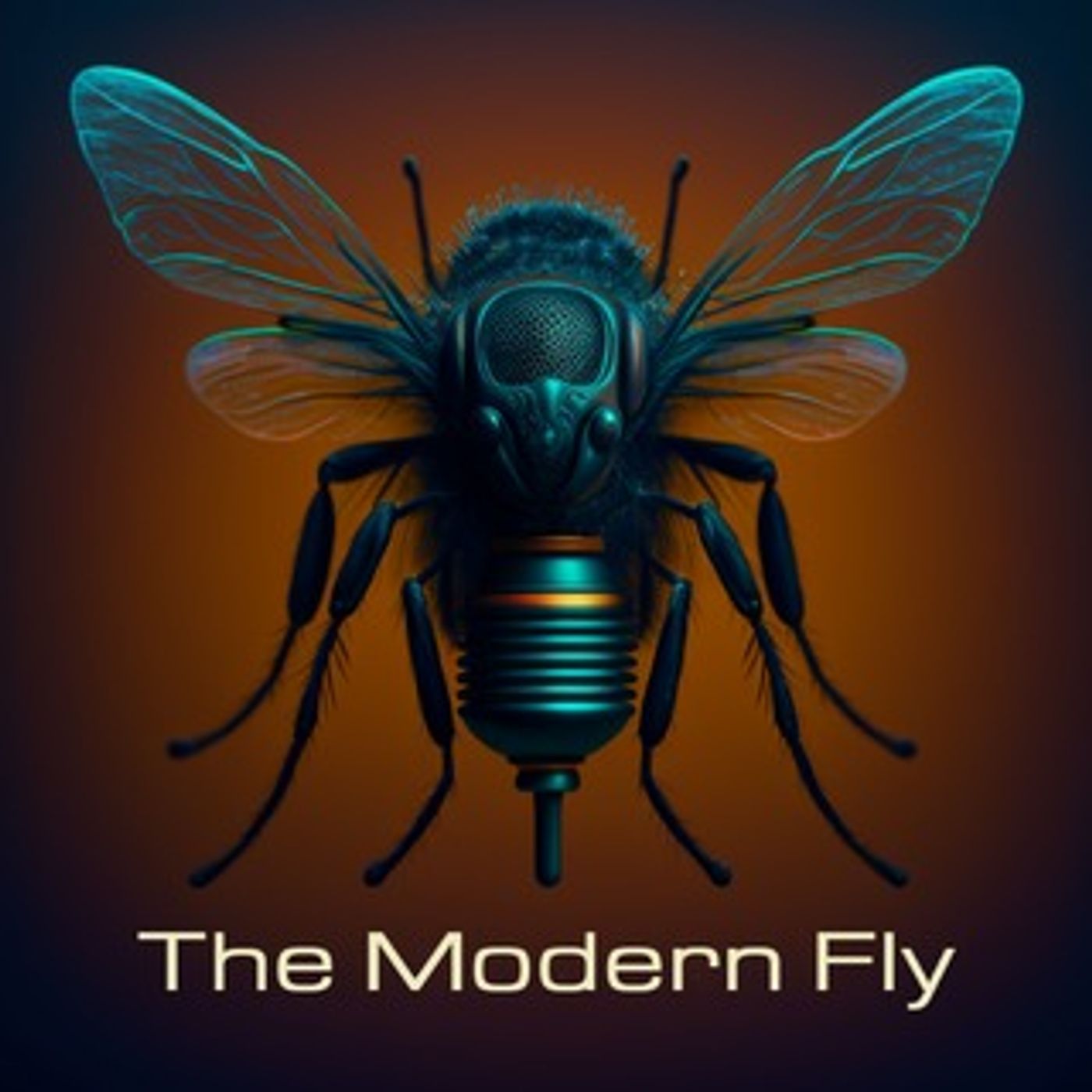 The Modern Fly 