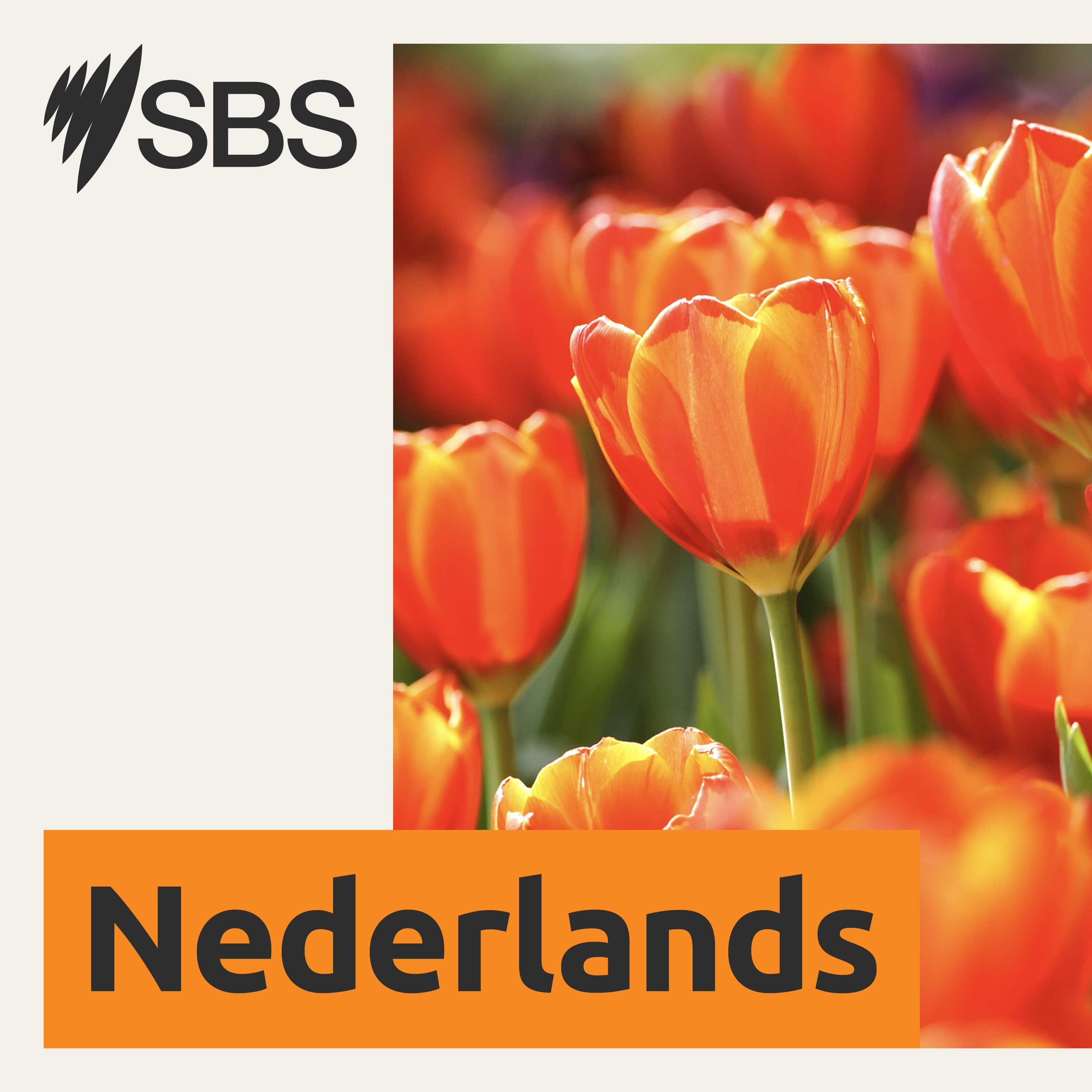 SBS Dutch - SBS Nederlands 