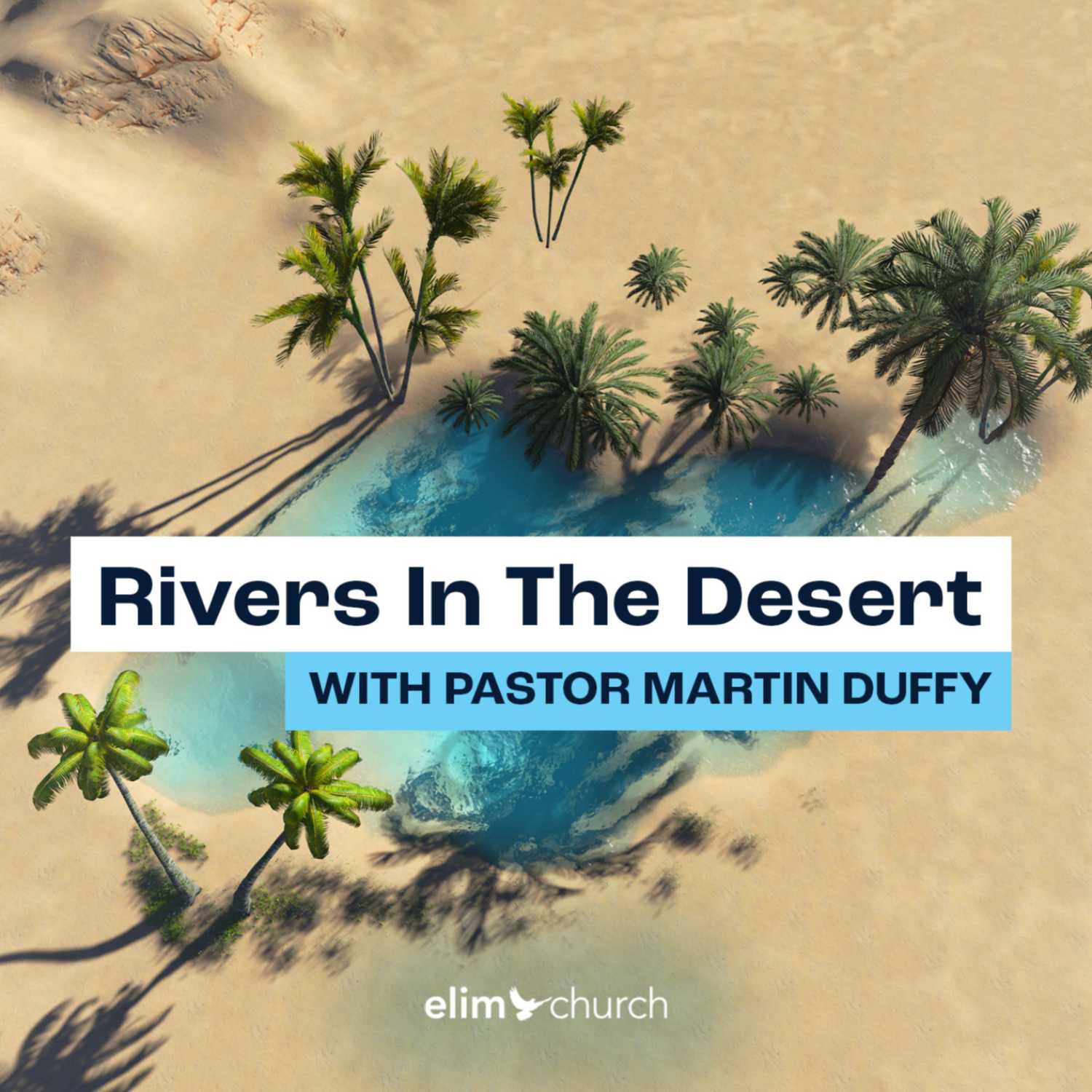 Rivers in the Desert 