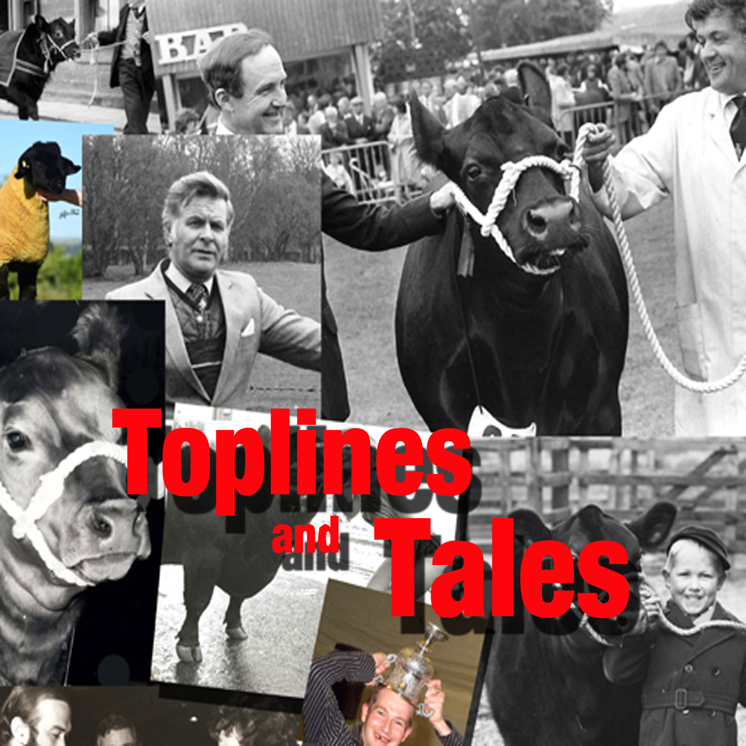 Toplines and Tales 