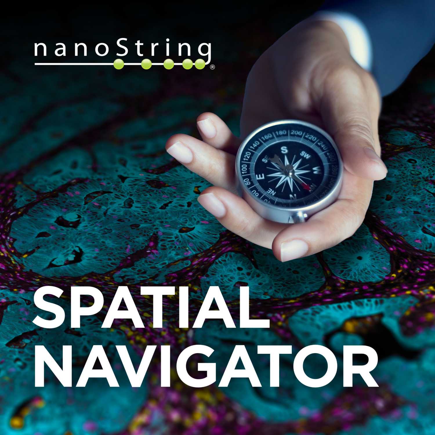 Spatial Navigator 