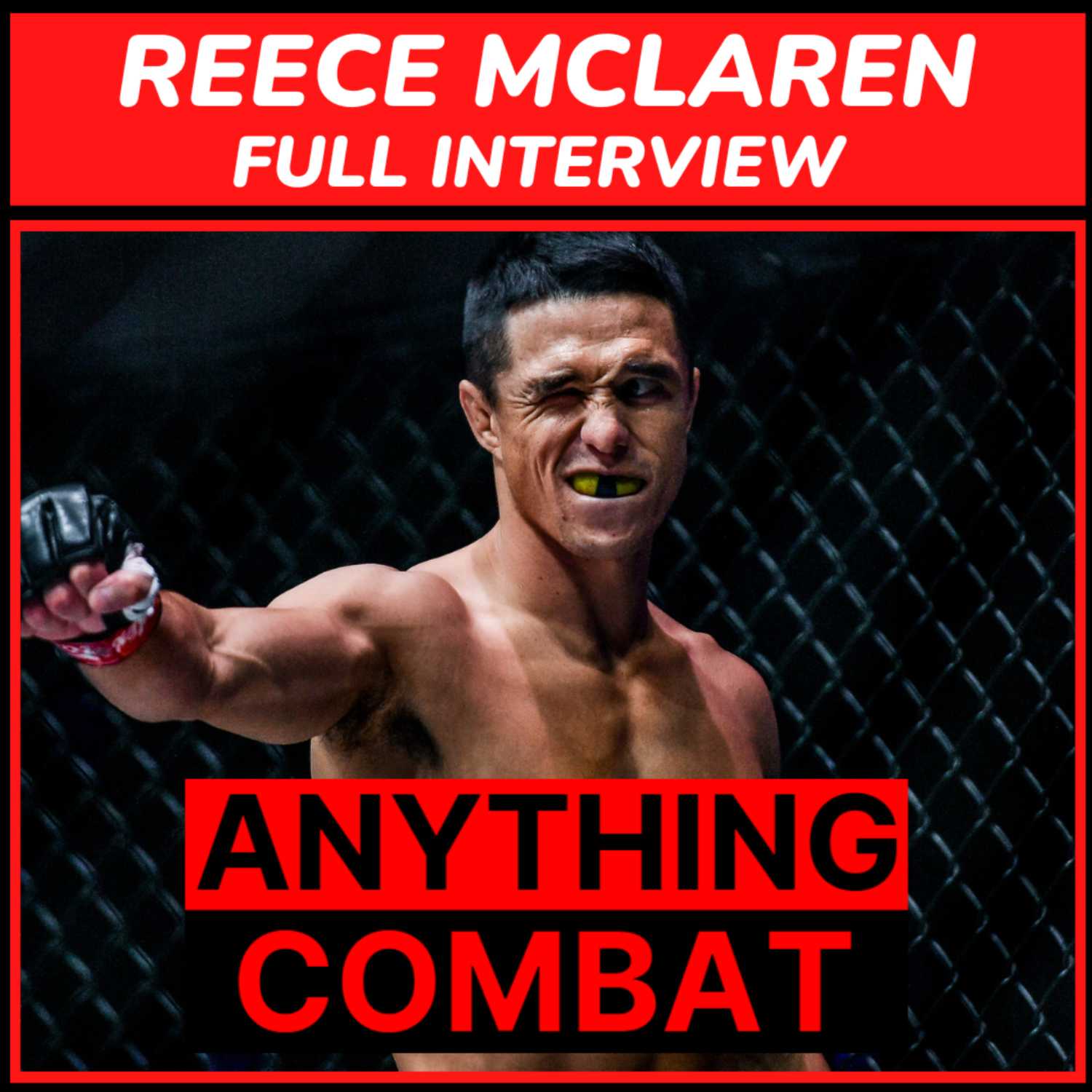 Anything Combat Interviews: Episode 11 - Reece Mclaren